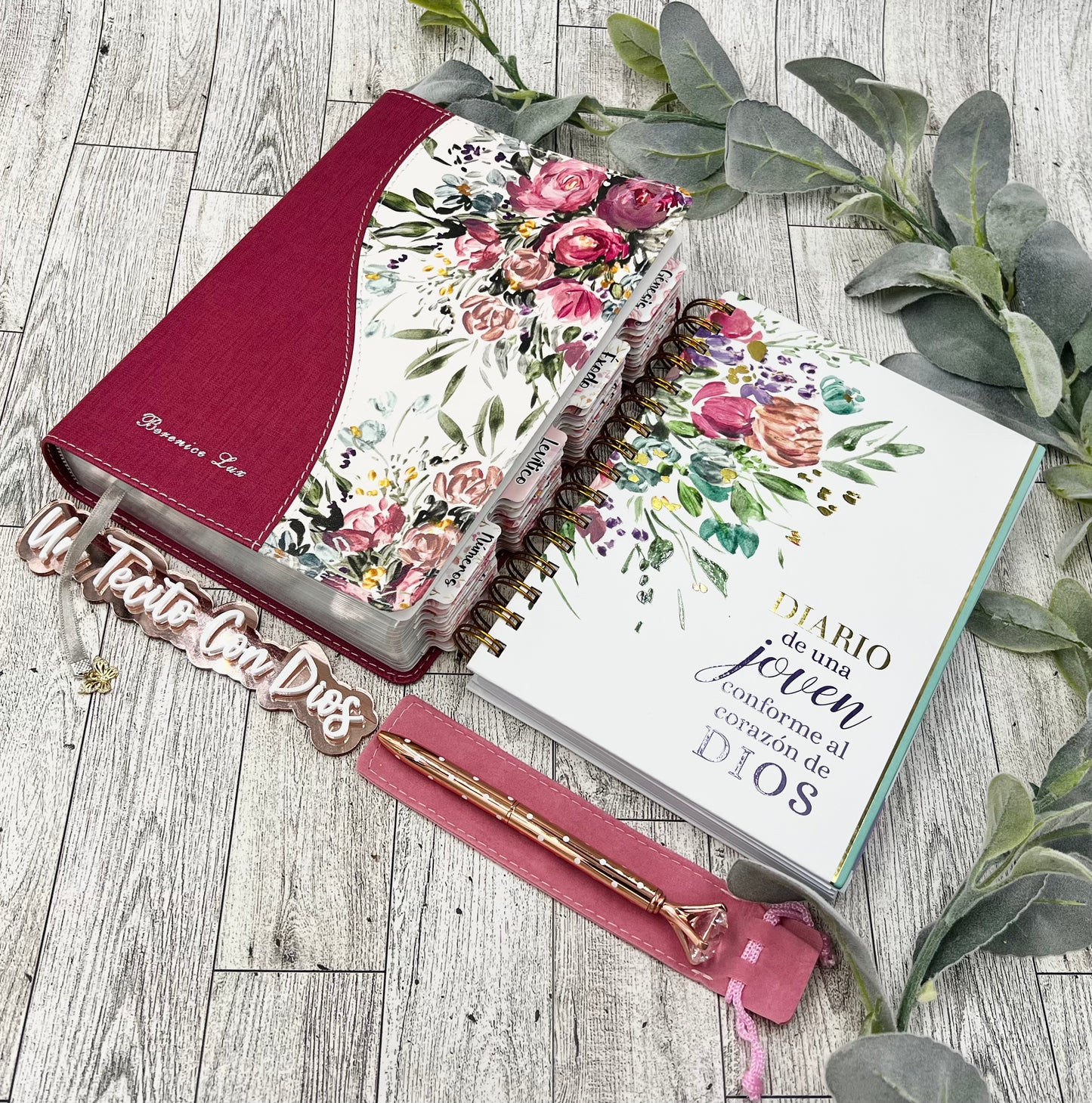 Biblia de La Joven conforme al Corazon de Dios