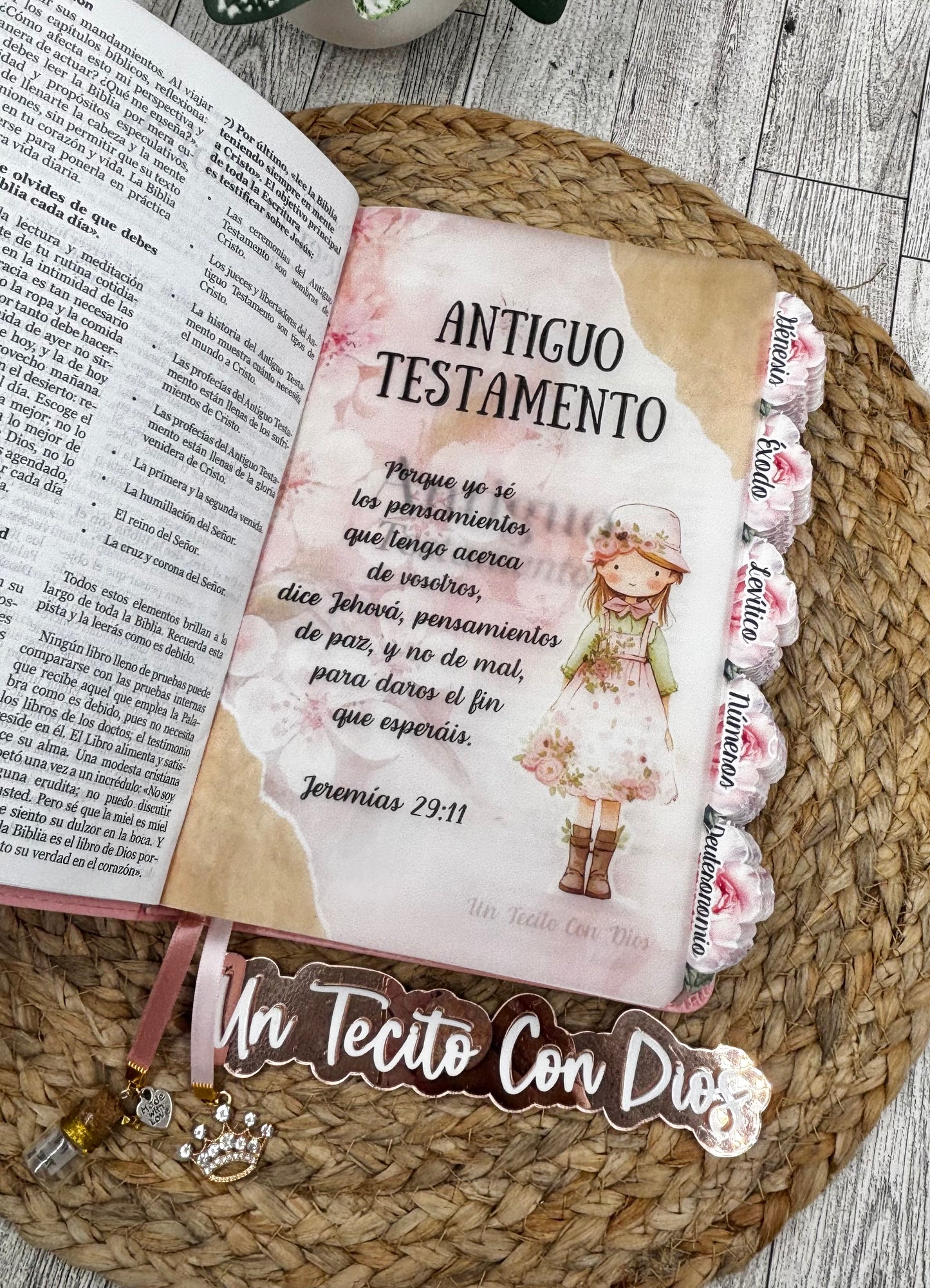 BIBLIA HIJA DE DIOS VERSIÓN PEDRERÍA