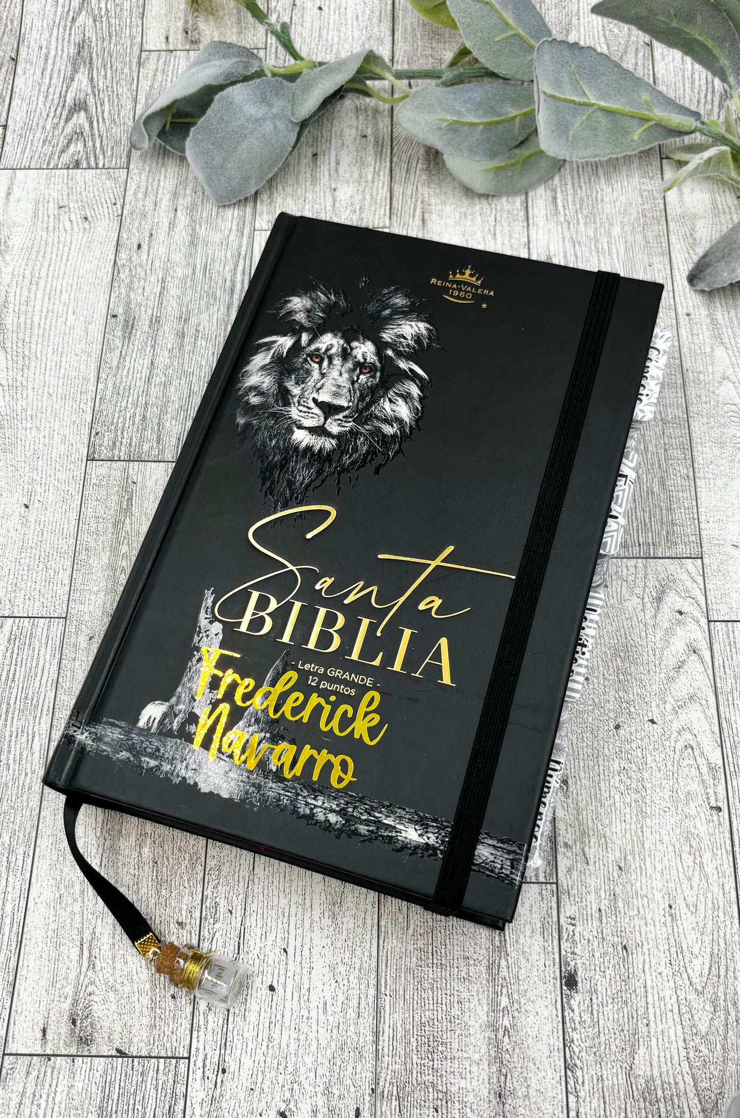 BIBLIA LEON DE JUDA - CON ELÁSTICO