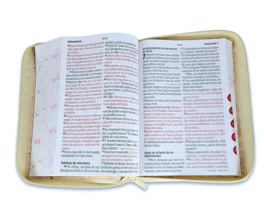 BIBLIA LETRA GIGANTE 19 PUNTOS MUJER SABIDURIA CON CIERRE
