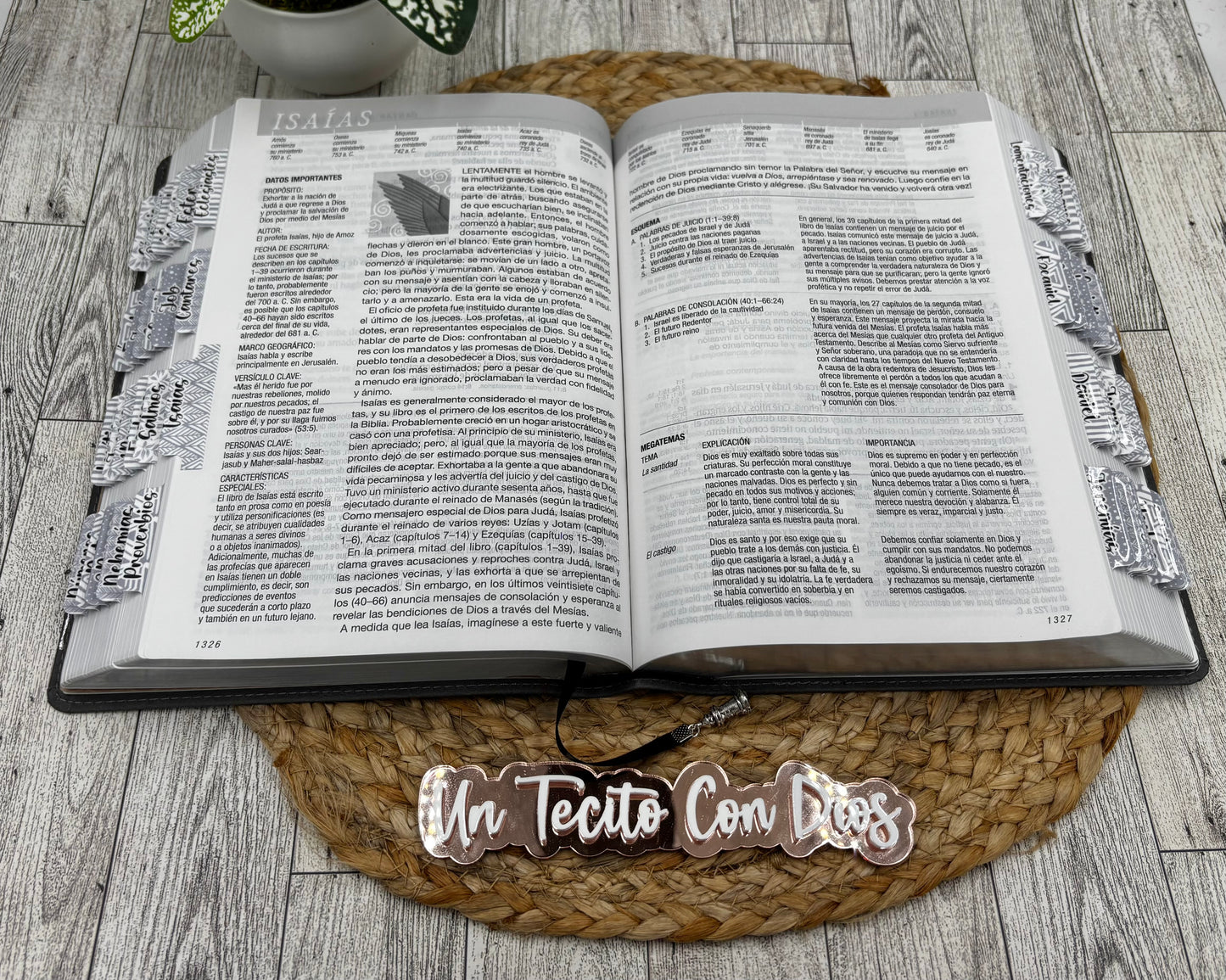 BIBLIA DE ESTUDIO DEL DIARIO VIVIR RV 1960 LETRA GRANDE (BUNDLE CON LIBRETA Y BOLÍGRAFO)