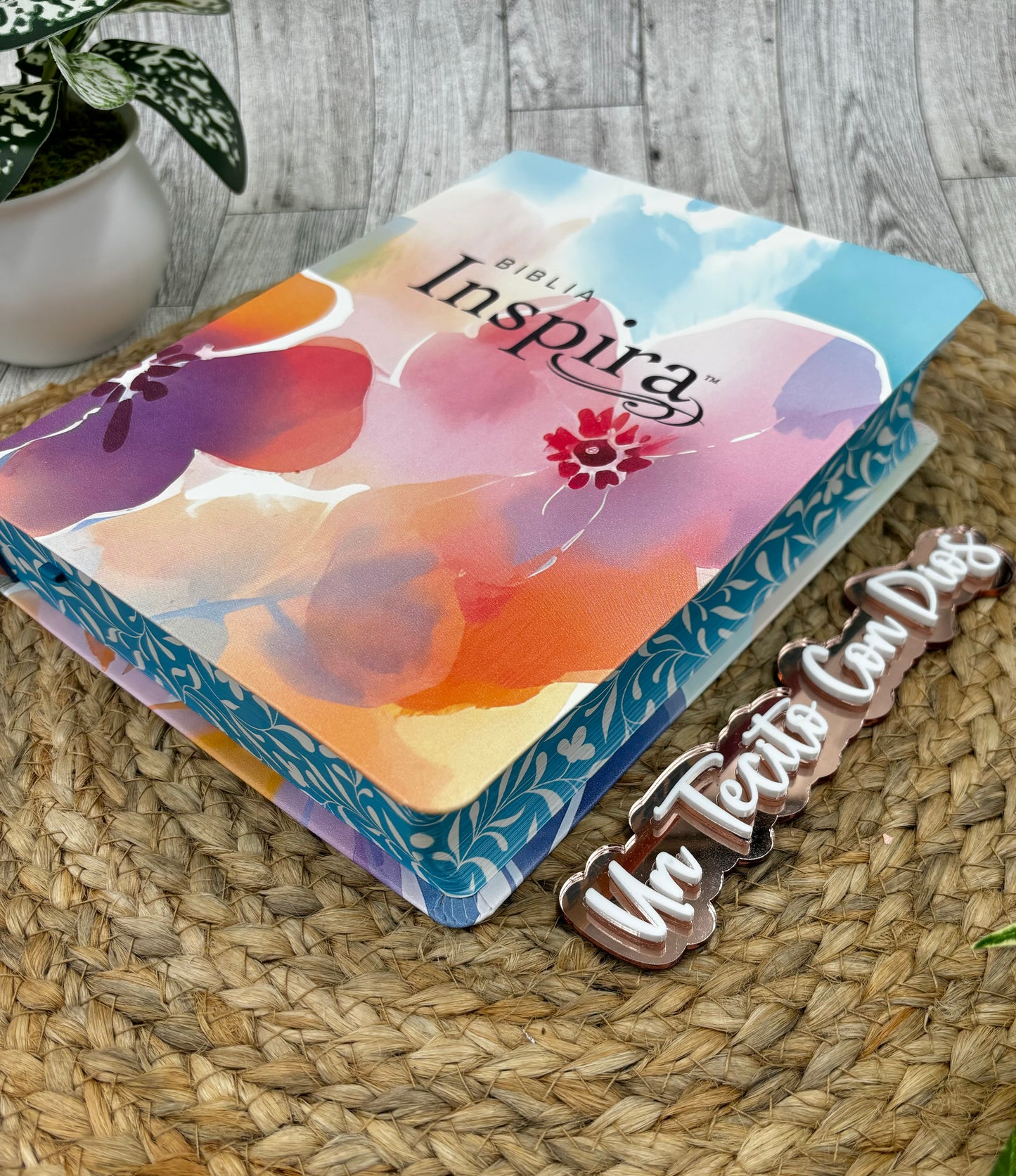 BIBLIA INSPIRA (NTV) PARA COLOREAR Y BIBLE JOURNALING