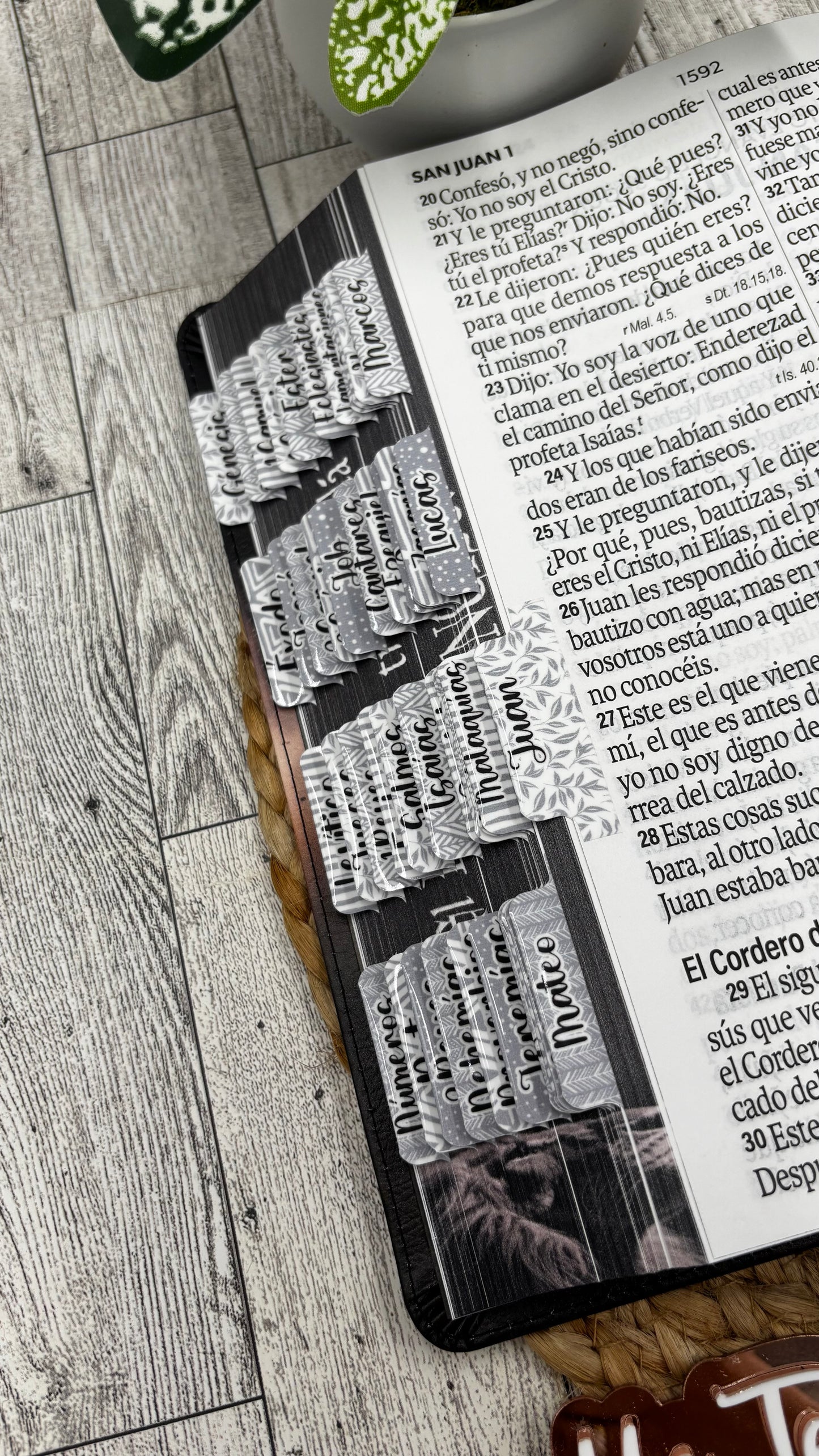 BIBLIA LETRA SUPERGIGANTE 19 PUNTOS MEDIANA LEON CON ETIQUETAS