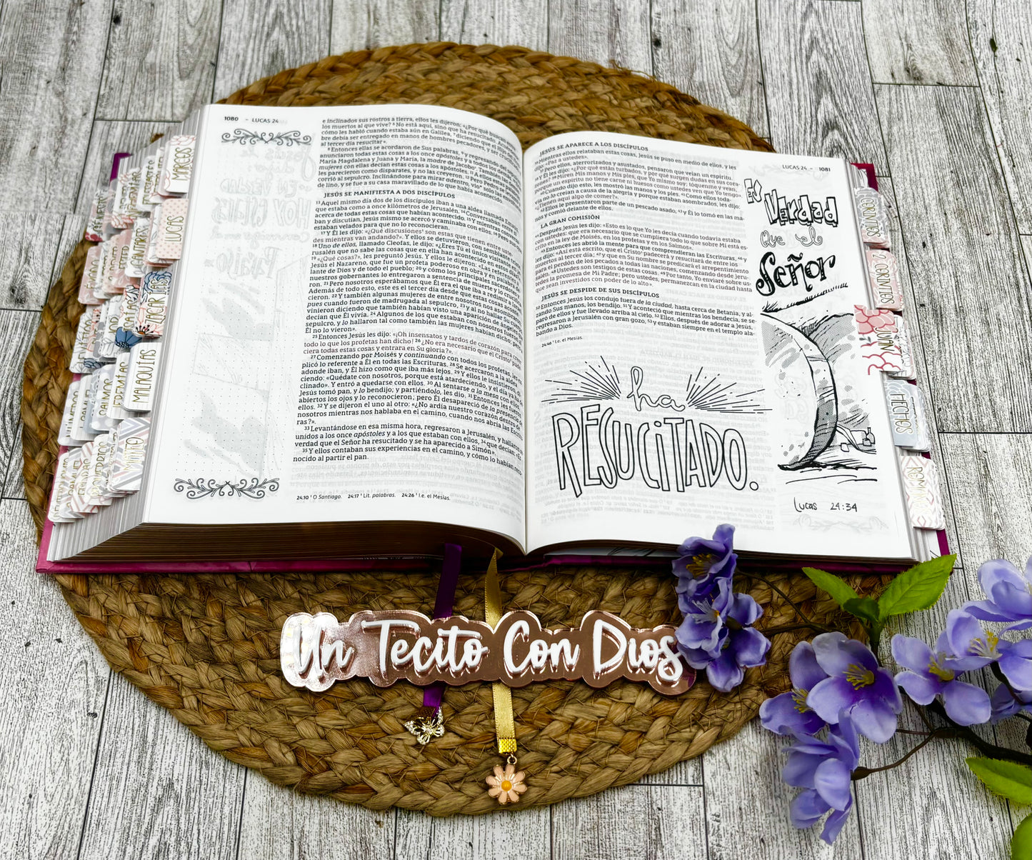 BIBLIA NBLA EDICION ARTISTICA (FUSCHIA Y DORADO)