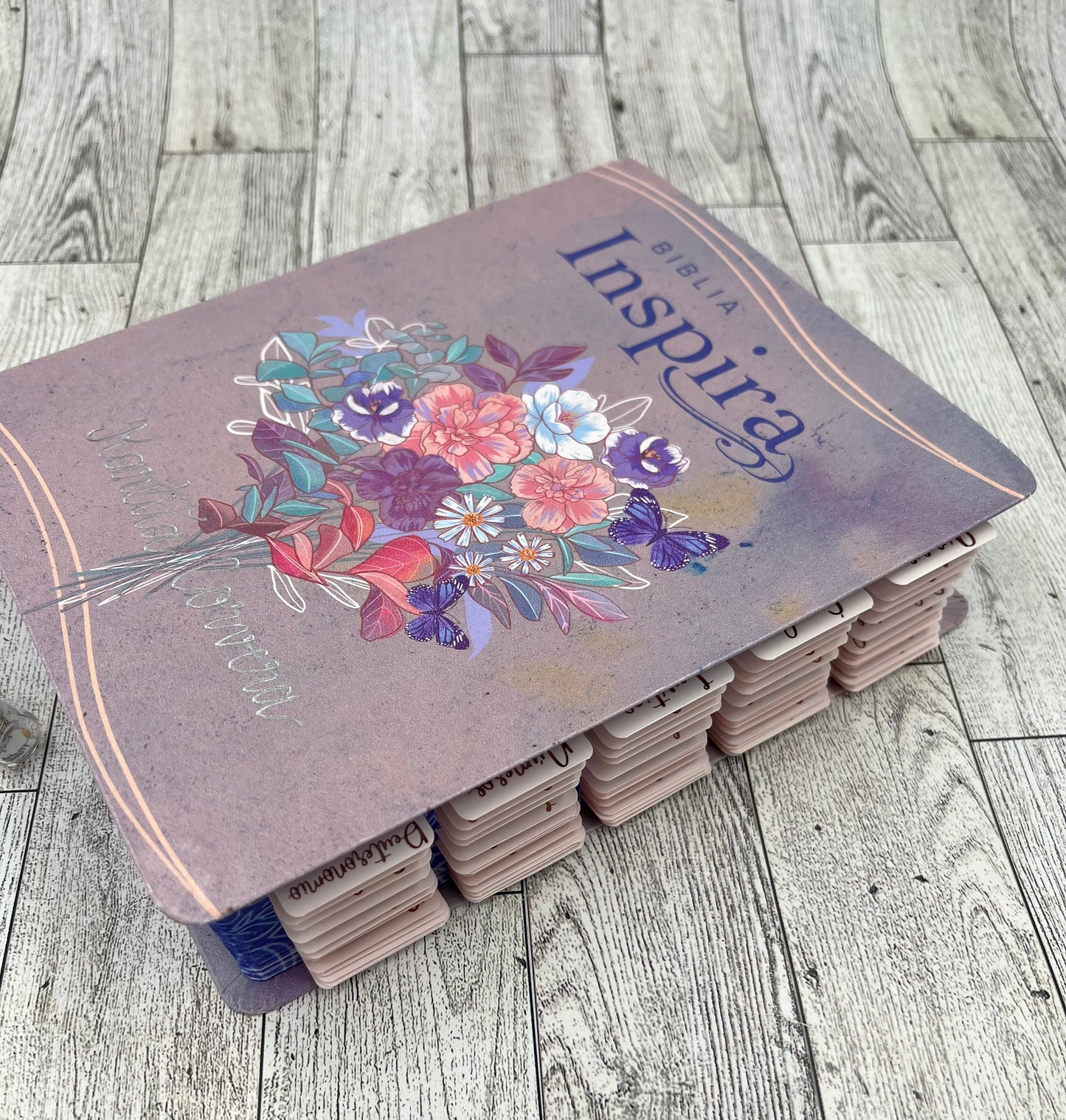 BIBLIA INSPIRA (NTV) PARA COLOREAR Y BIBLE JOURNALING