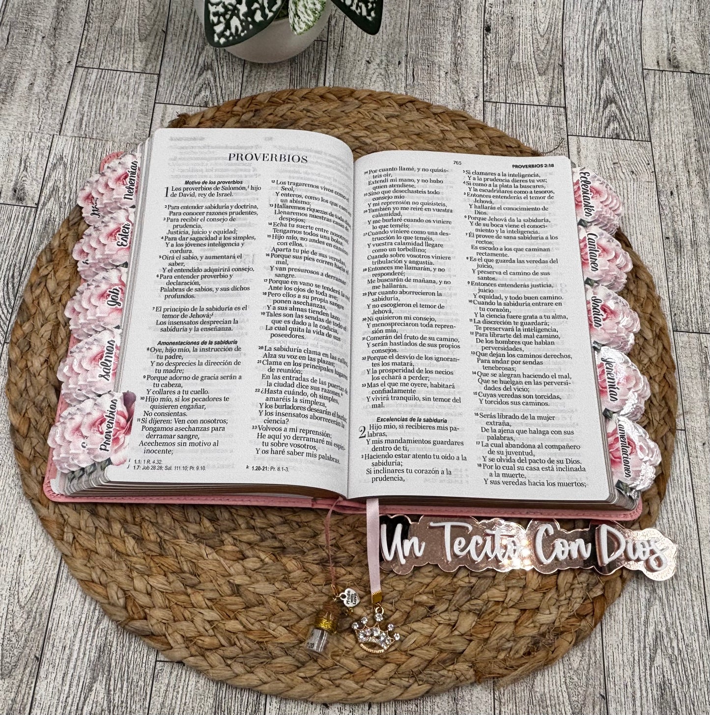 BIBLIA HIJA DE DIOS VERSIÓN PEDRERÍA