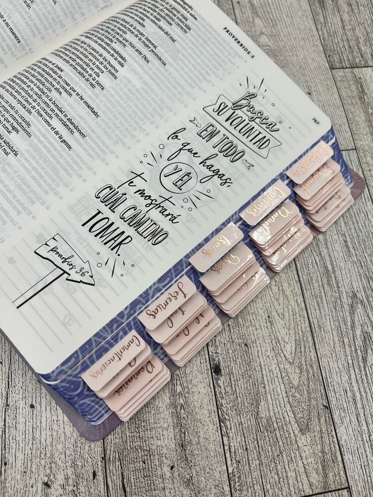 BIBLIA INSPIRA (NTV) PARA COLOREAR Y BIBLE JOURNALING