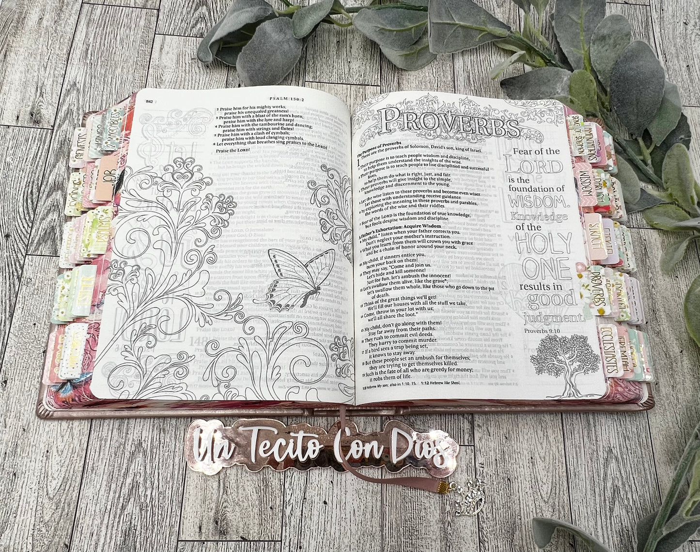 BIBLIA INSPIRA (NTV) PARA COLOREAR Y BIBLE JOURNALING