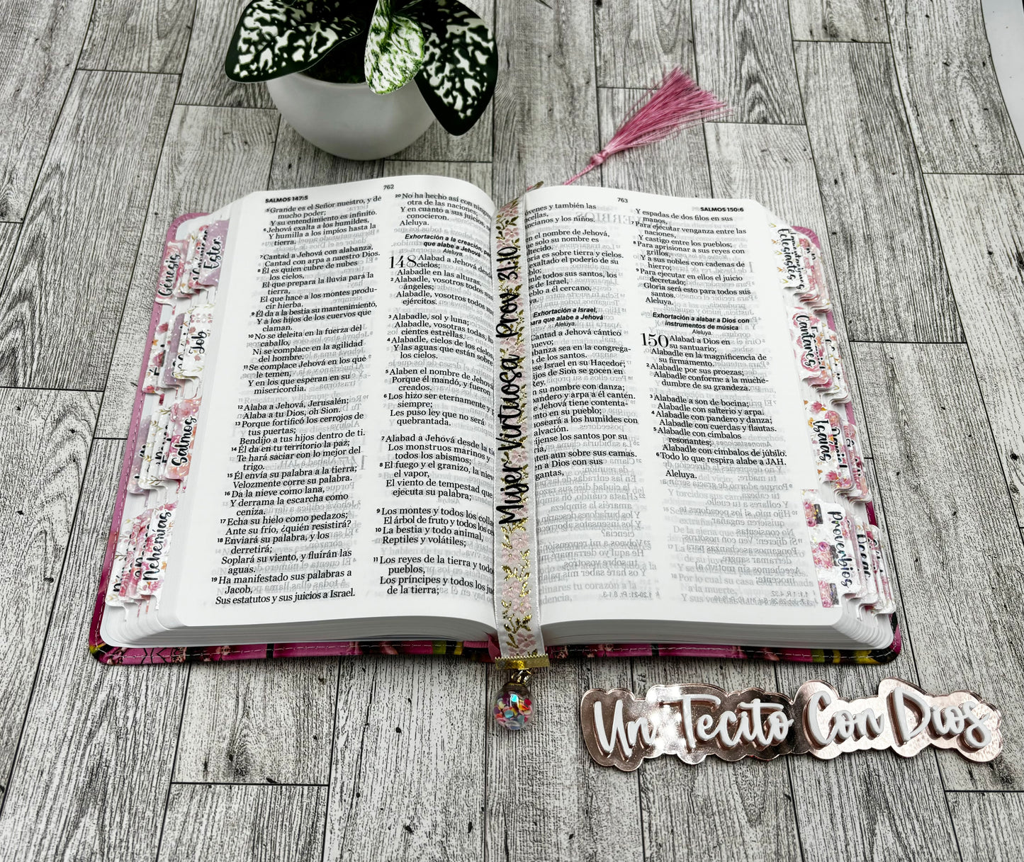 Separador Mujer Virtuosa Prov 31:10