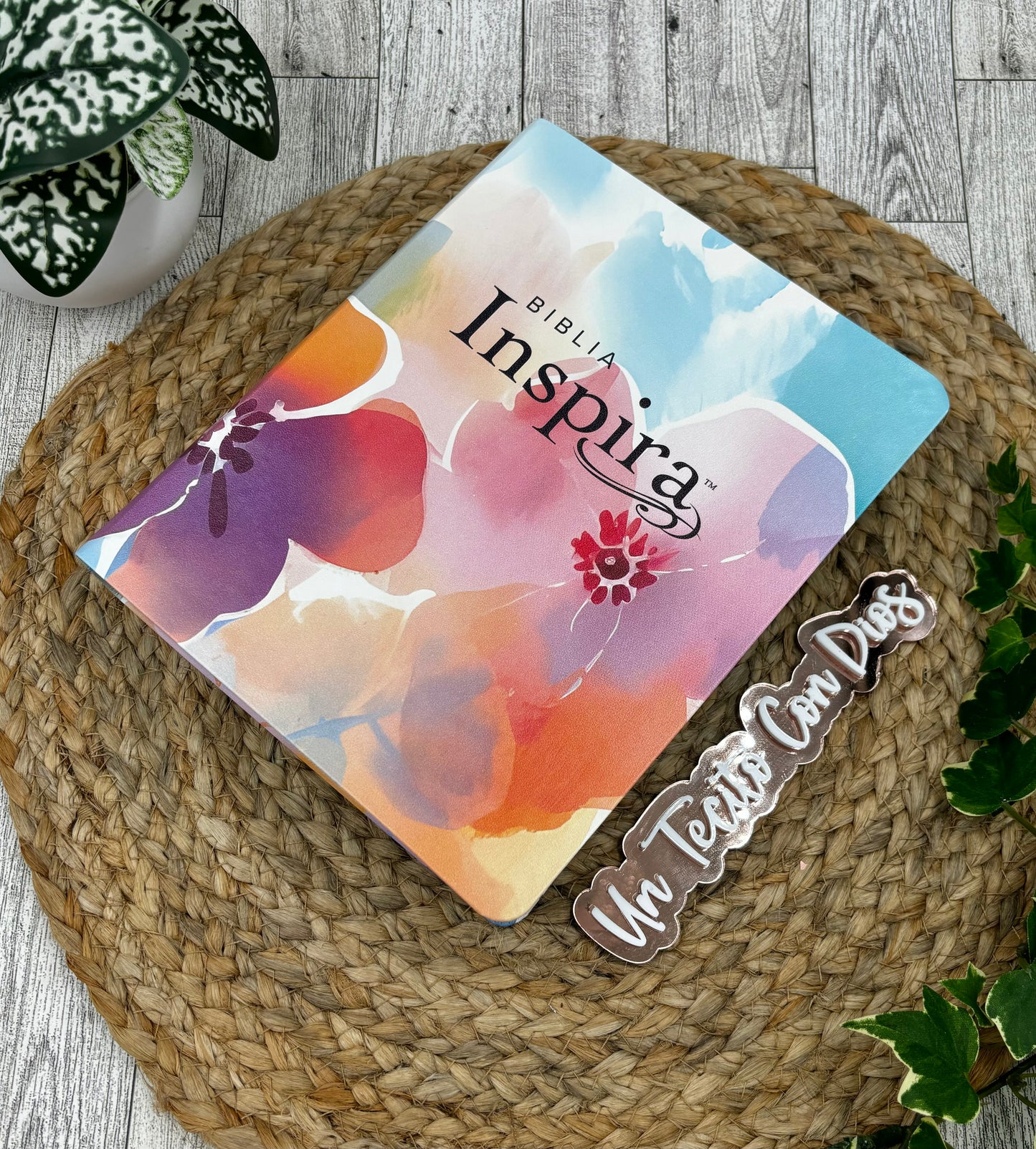BIBLIA INSPIRA (NTV) PARA COLOREAR Y BIBLE JOURNALING