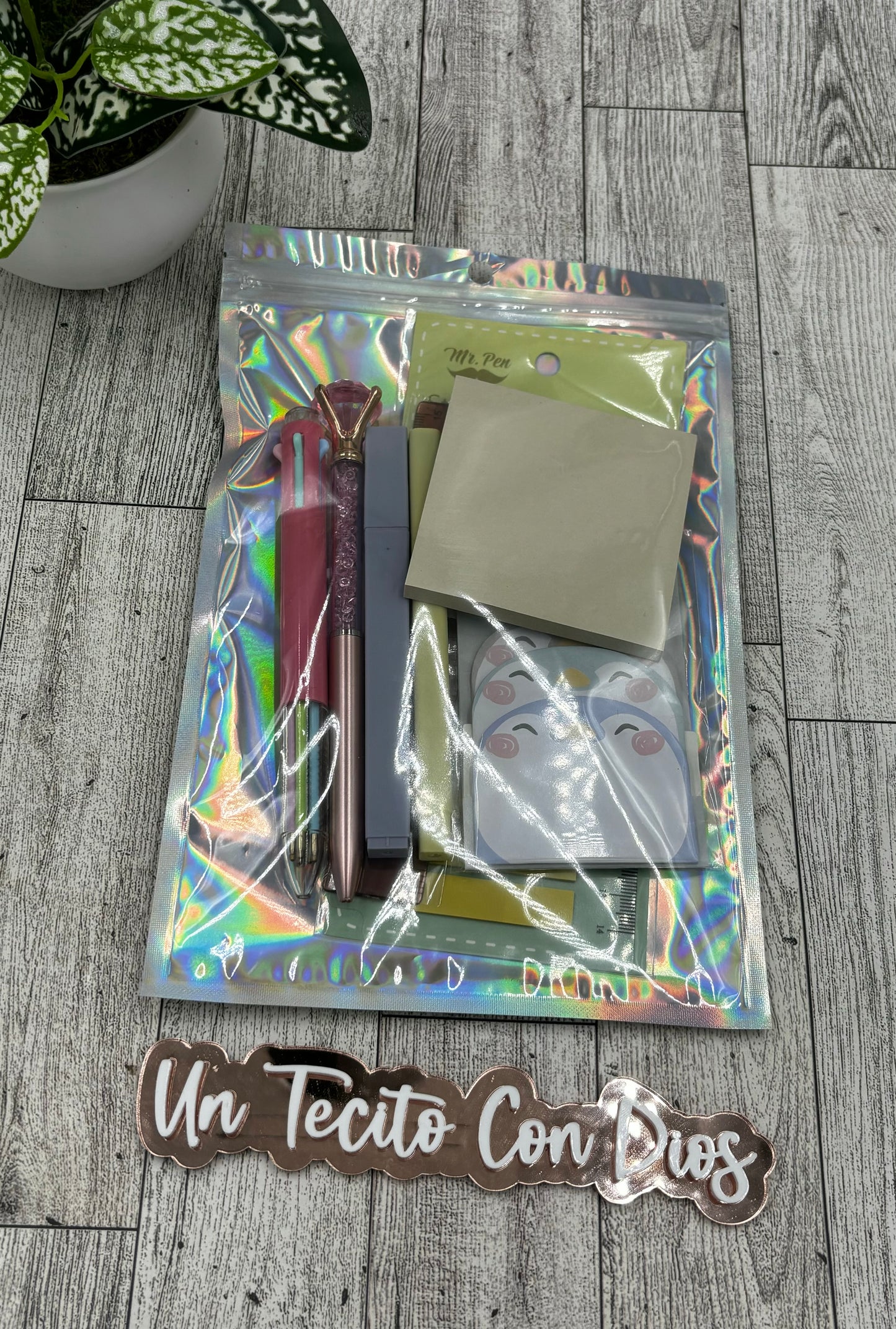 Bible Journaling Kit (Básico)