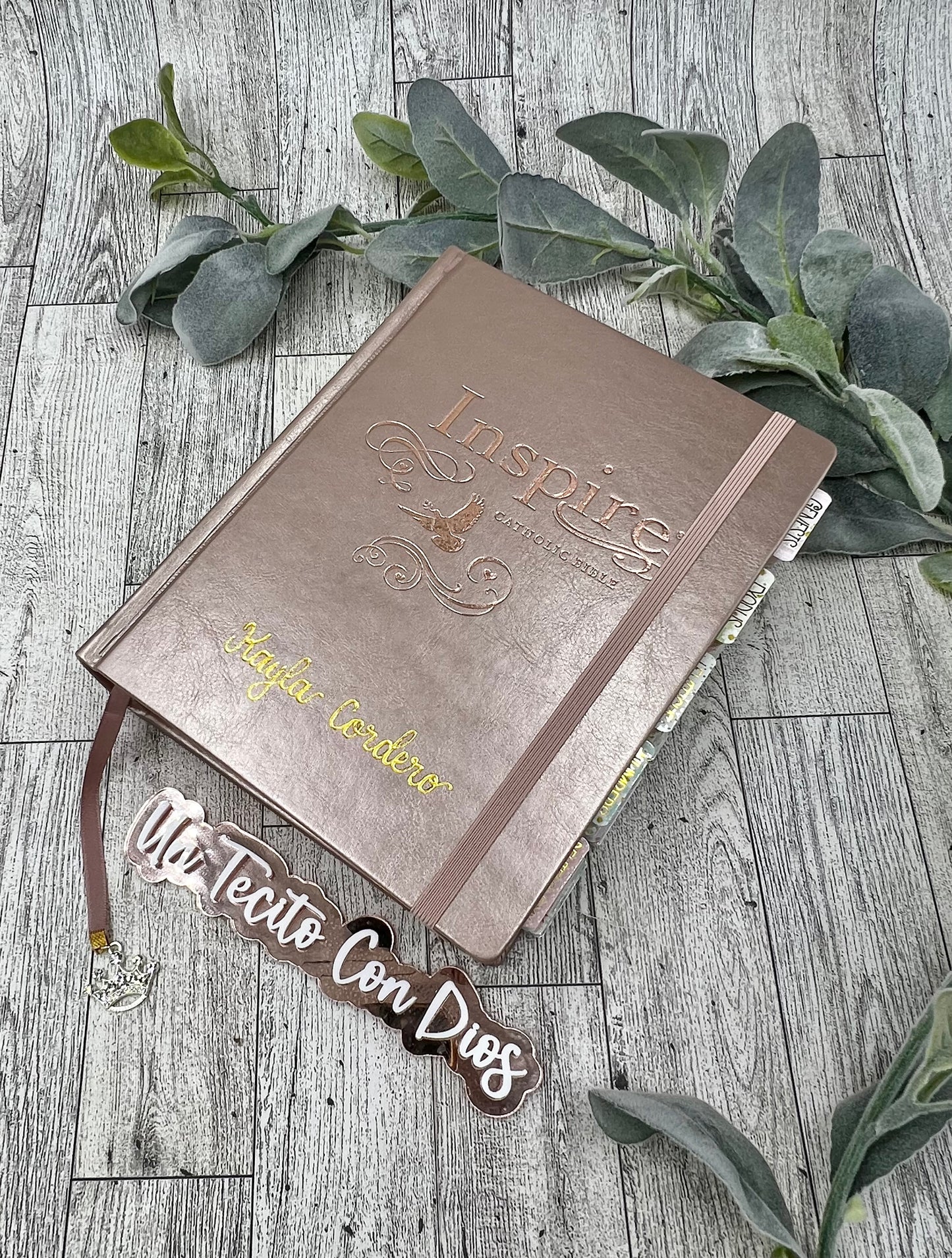 BIBLIA INSPIRA (NTV) PARA COLOREAR Y BIBLE JOURNALING
