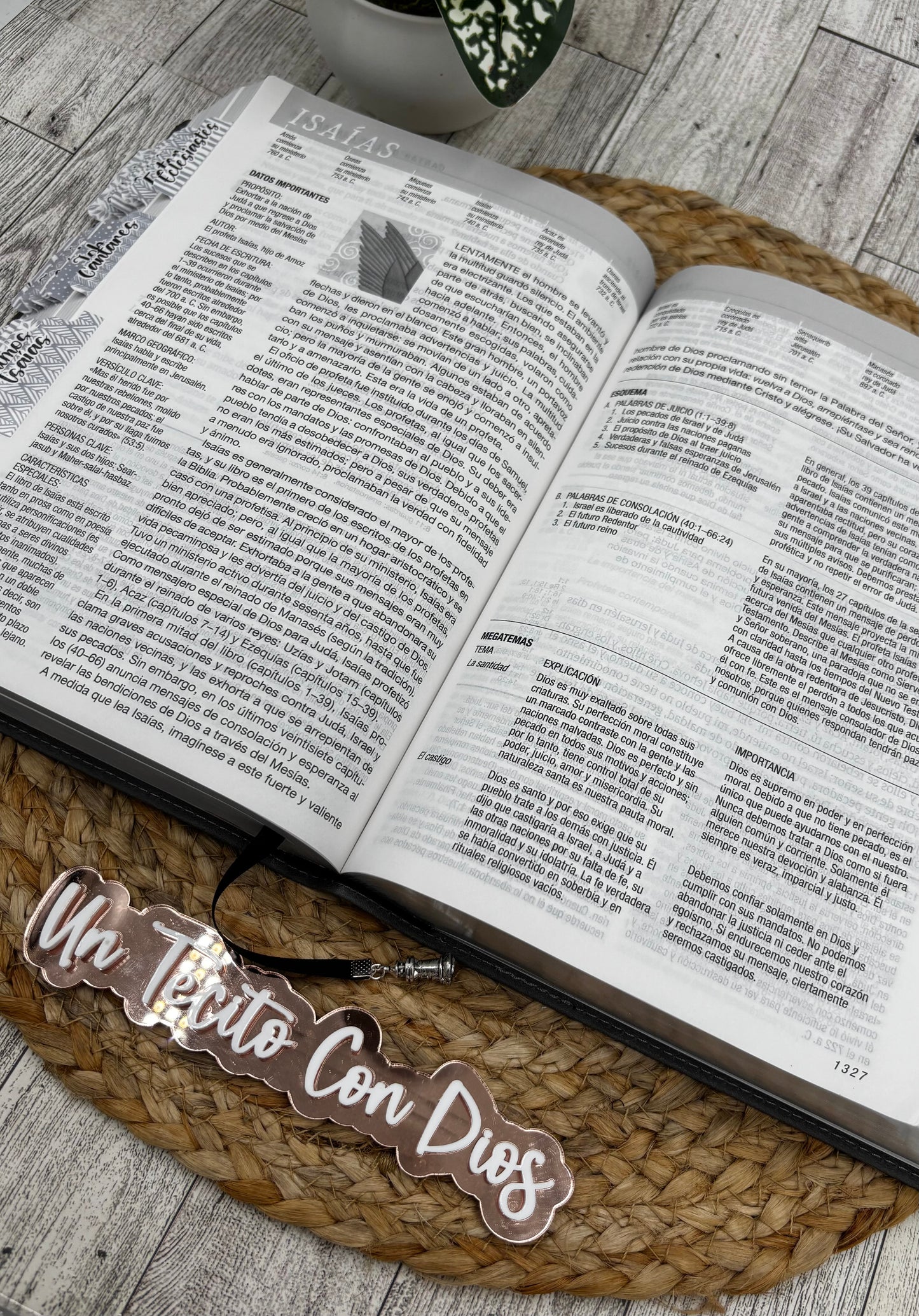 BIBLIA DE ESTUDIO DEL DIARIO VIVIR RV 1960 LETRA GRANDE (BUNDLE CON LIBRETA Y BOLÍGRAFO)
