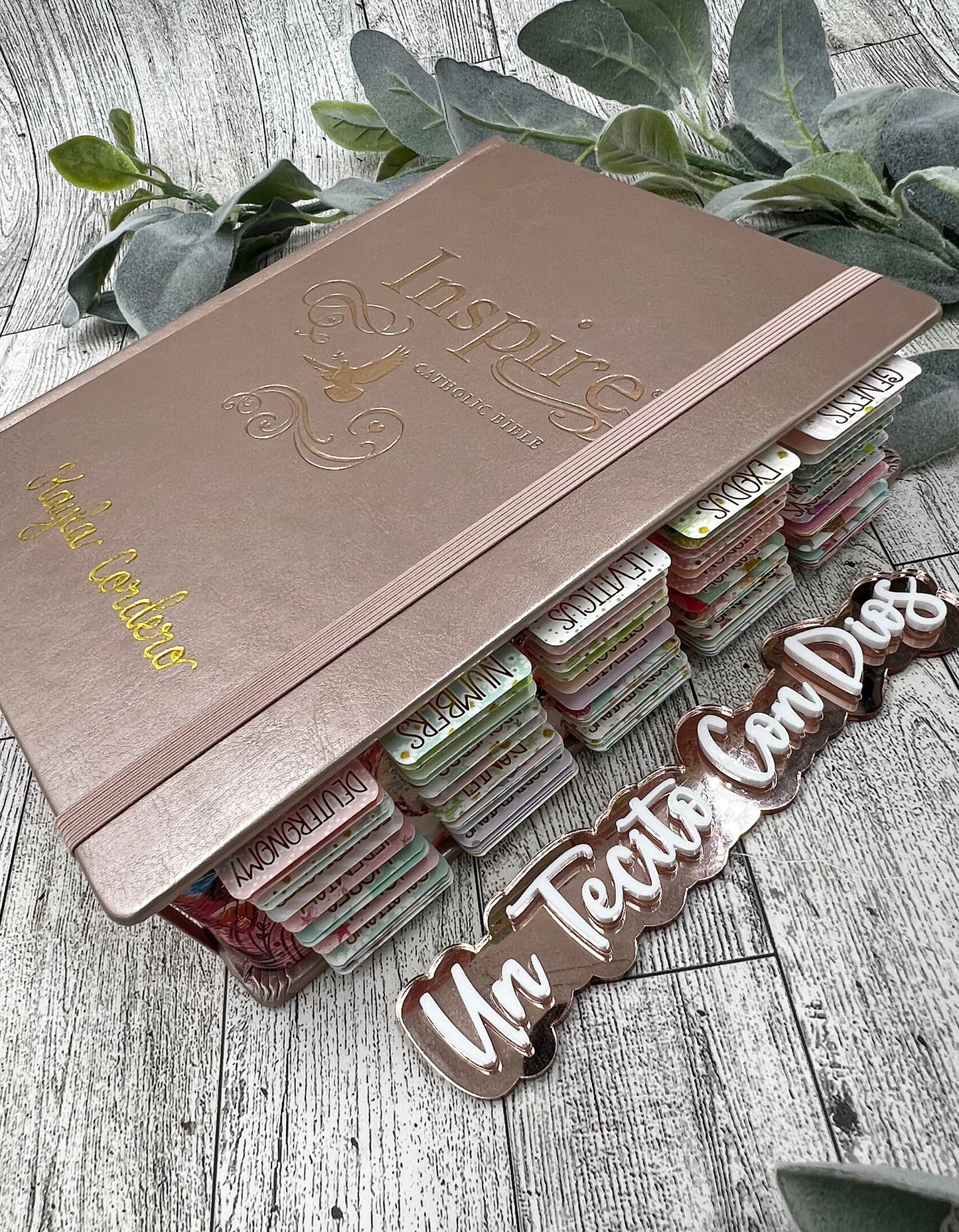 BIBLIA INSPIRA (NTV) PARA COLOREAR Y BIBLE JOURNALING