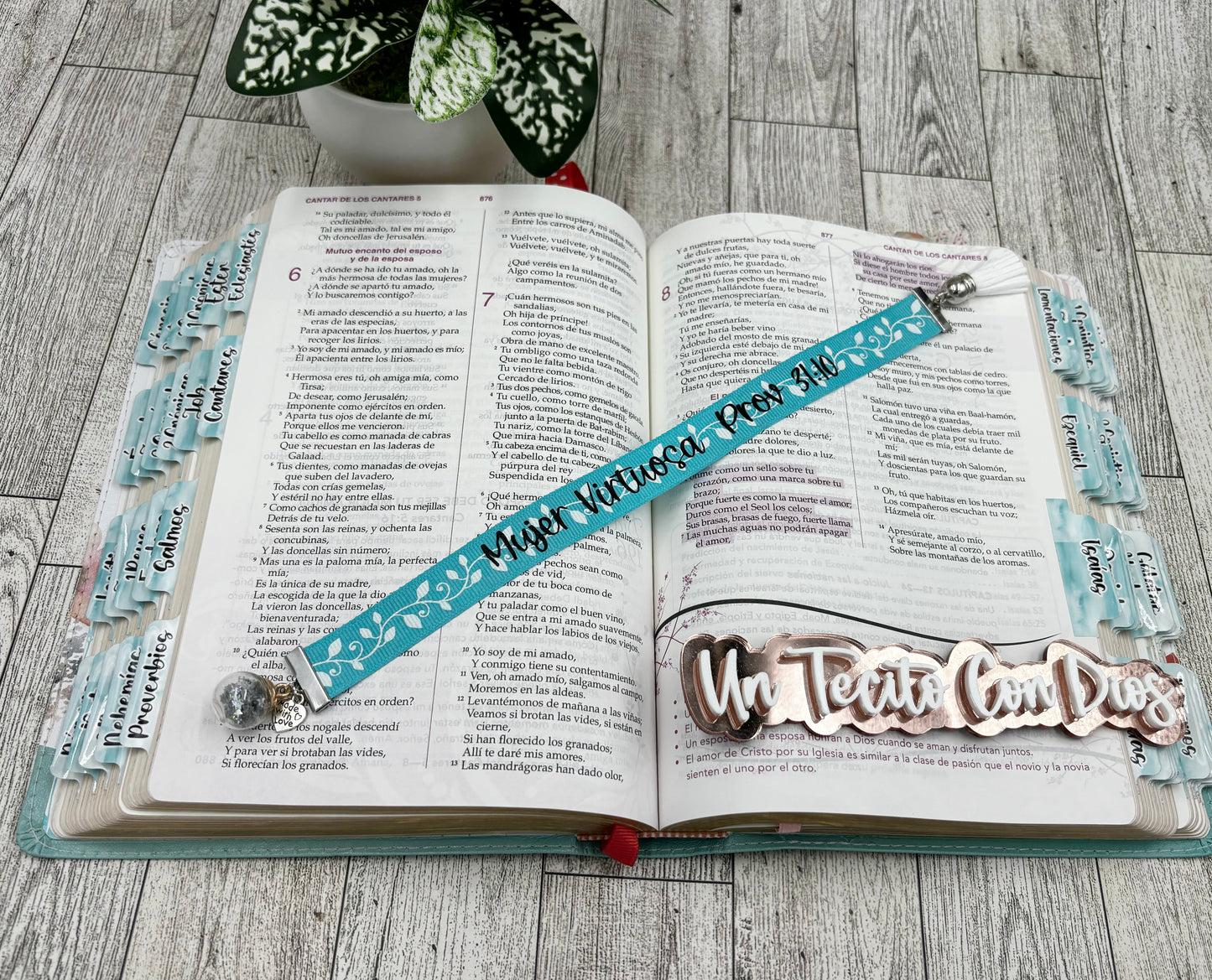 Separador Mujer Virtuosa Prov 31:10