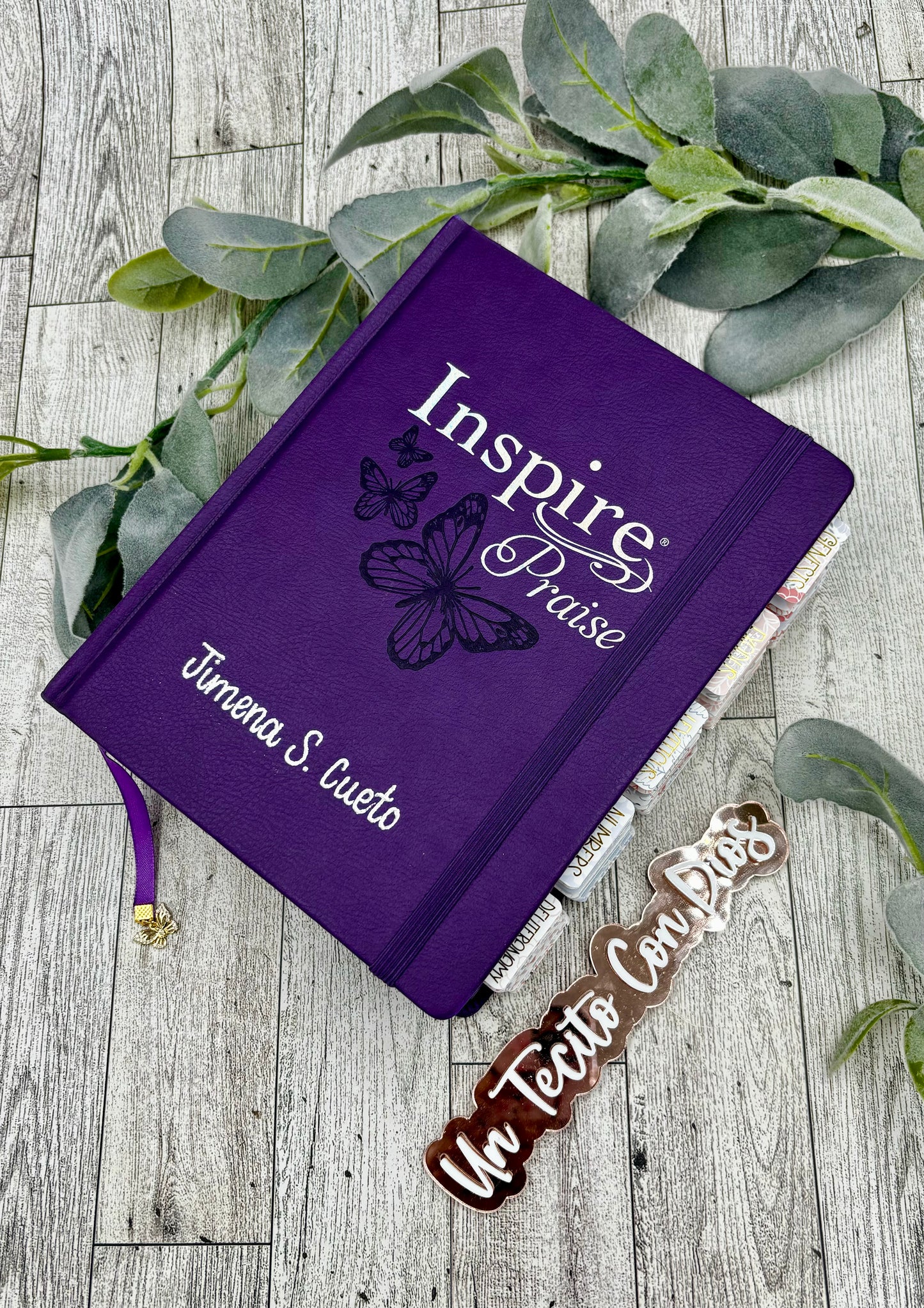 BIBLIA INSPIRA (NTV) PARA COLOREAR Y BIBLE JOURNALING