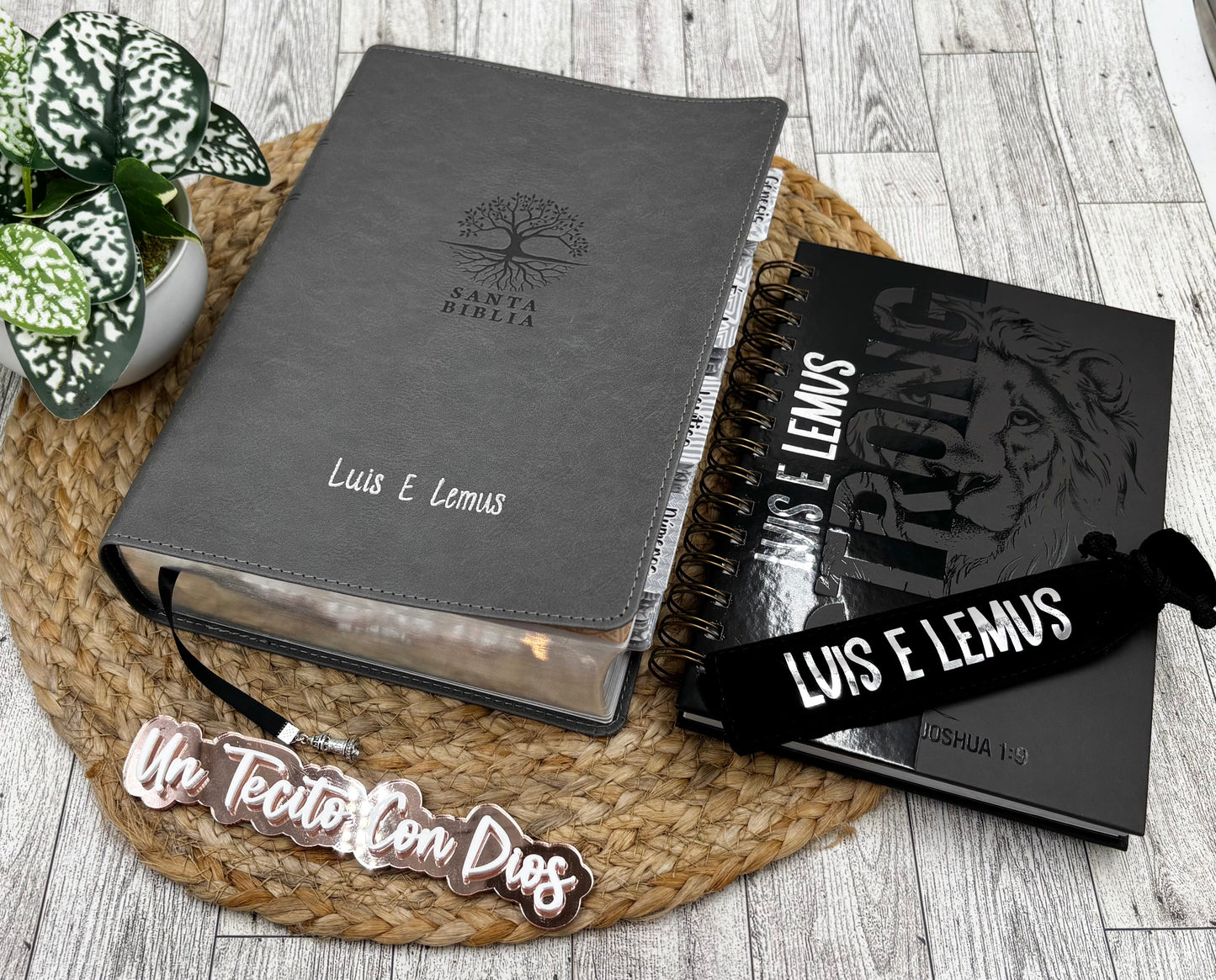 BIBLIA DE ESTUDIO DEL DIARIO VIVIR RV 1960 LETRA GRANDE (BUNDLE CON LIBRETA Y BOLÍGRAFO)
