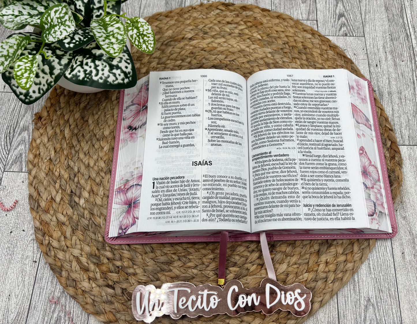 BIBLIA PORTATIL DISEÑO MARIPOSAS LETRA GRANDE 12 PUNTOS COLOR ROSA