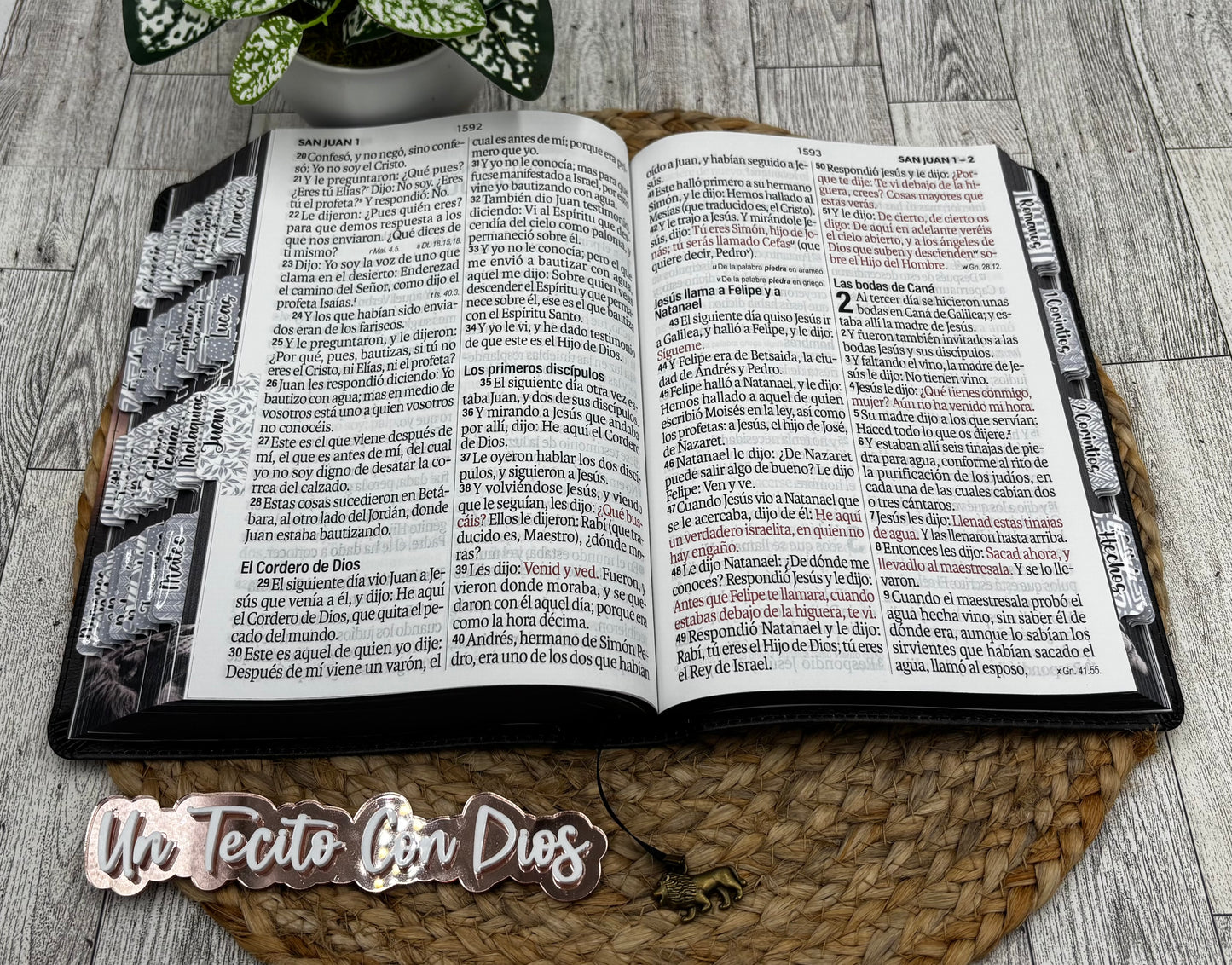 BIBLIA LETRA SUPERGIGANTE 19 PUNTOS MEDIANA LEON CON ETIQUETAS