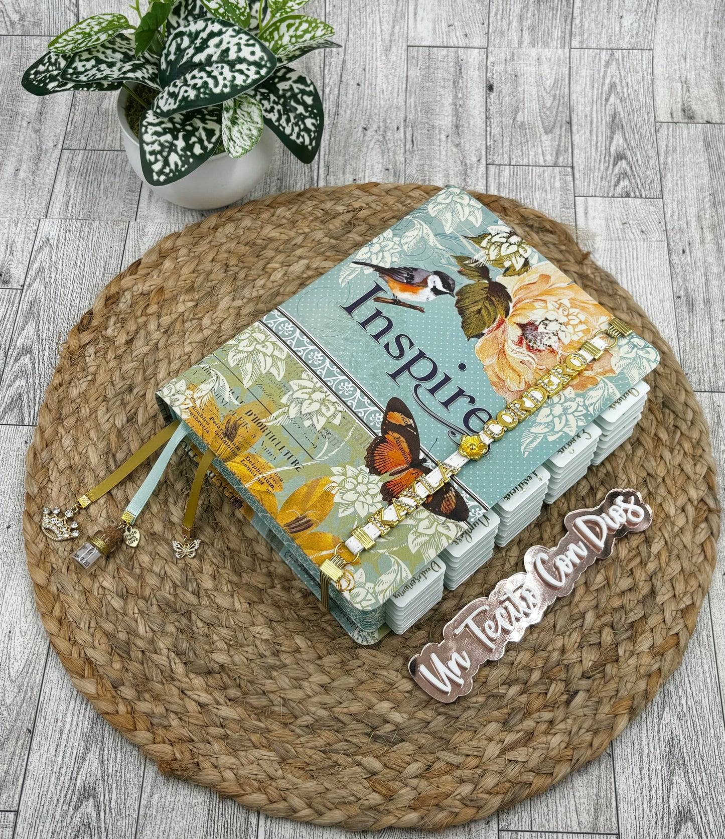 BIBLIA INSPIRA (NTV) PARA COLOREAR Y BIBLE JOURNALING