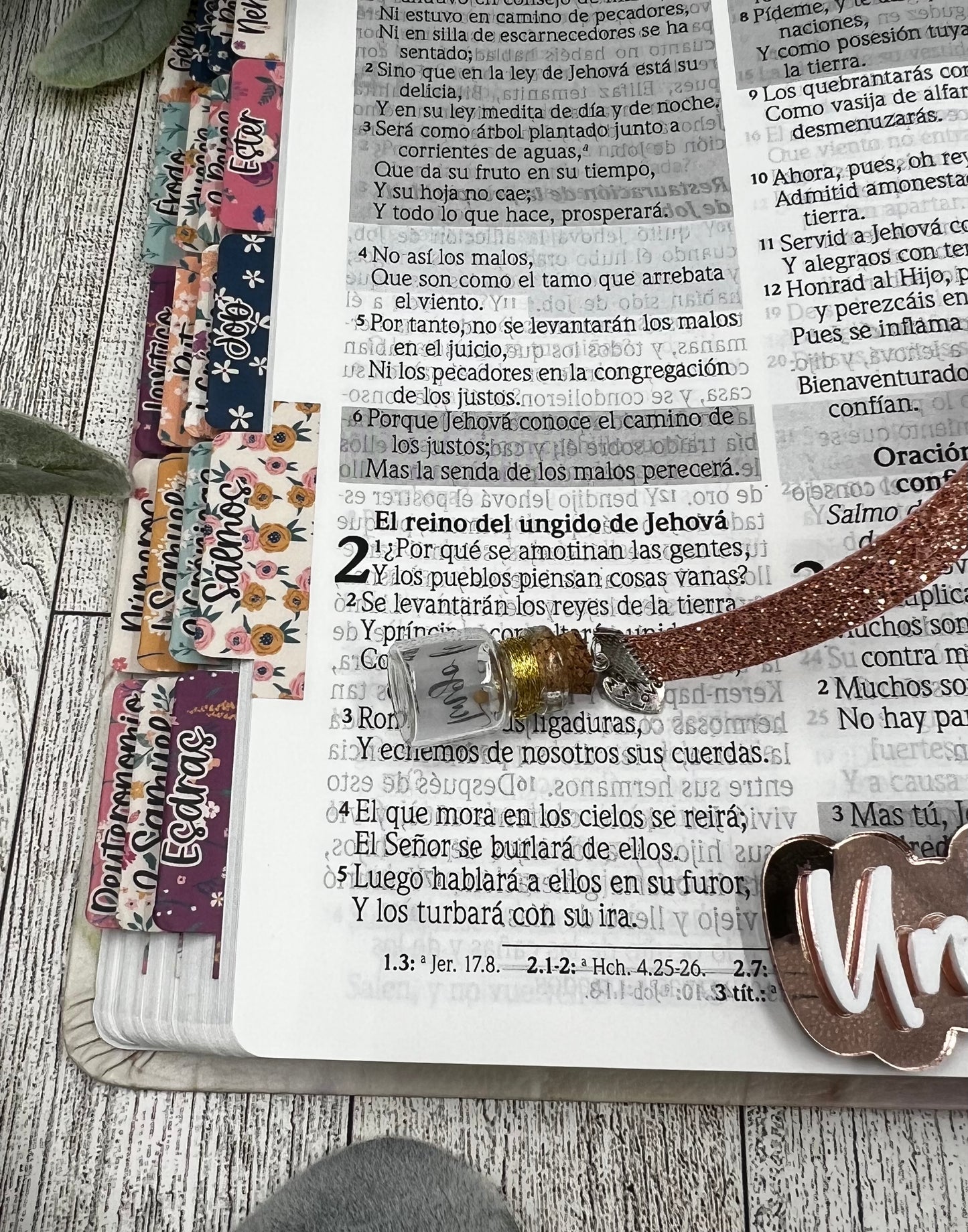 Separador Semilla de Mostaza
