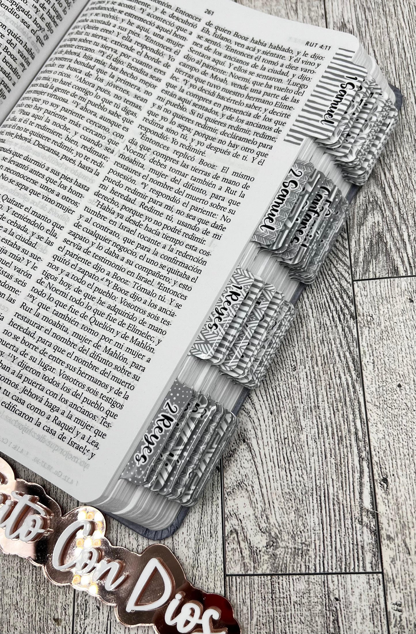 BIBLIA LEON DE JUDA -COLOR GRIS Y DORADO