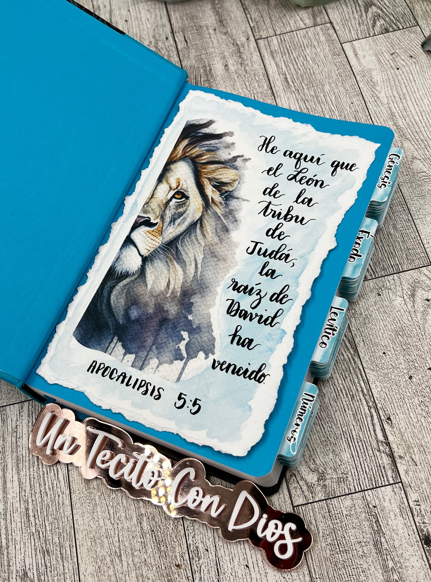 ACUARELA LEON DE JUDA - APOC 5:5