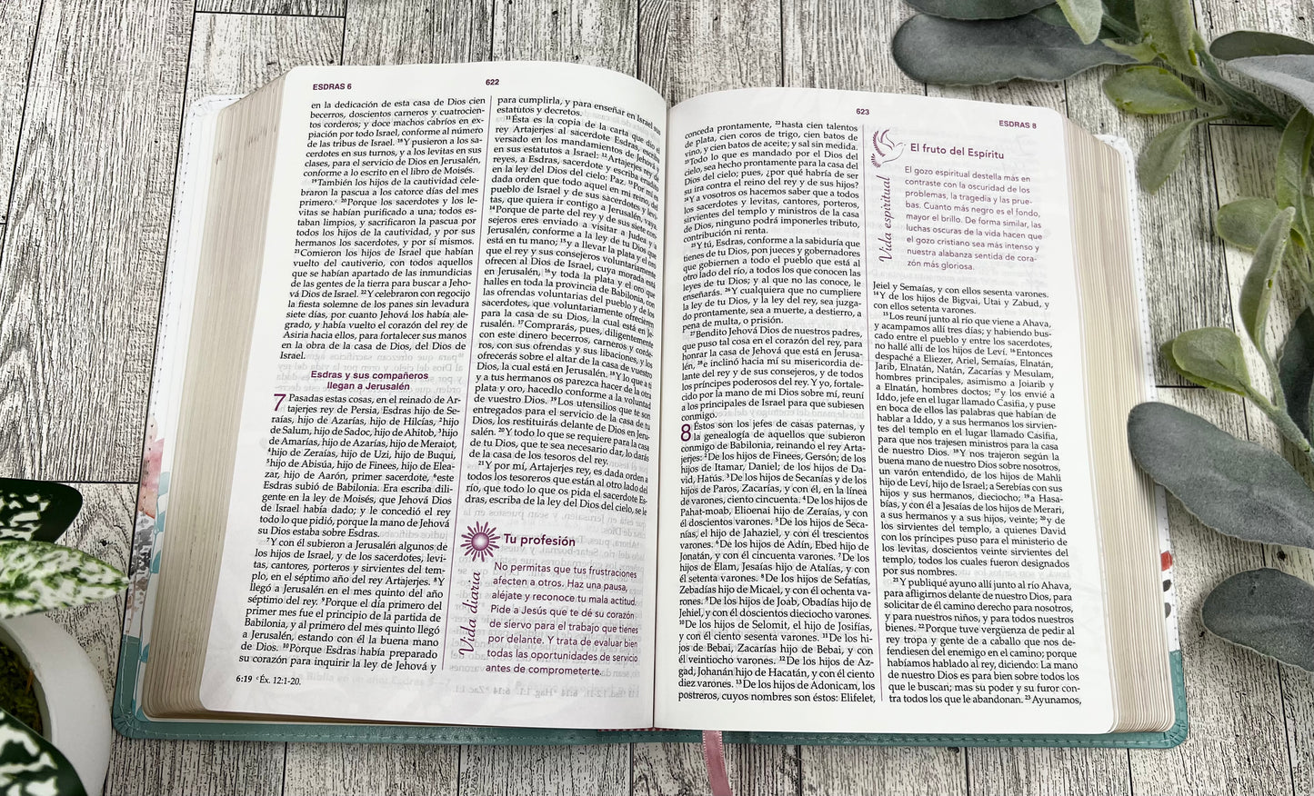 BIBLIA DE LA MUJER CONFORME AL CORAZON DE DIOS