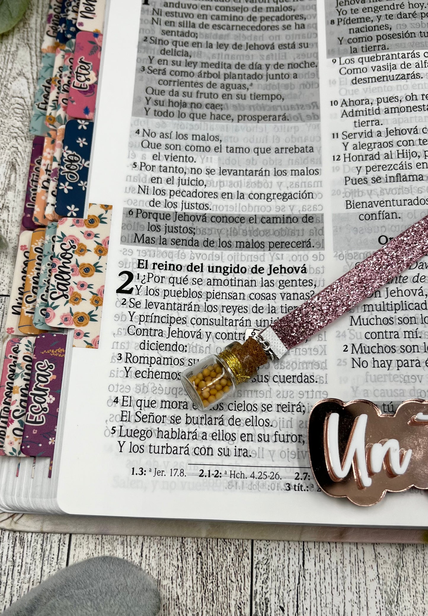 Separador Semilla de Mostaza
