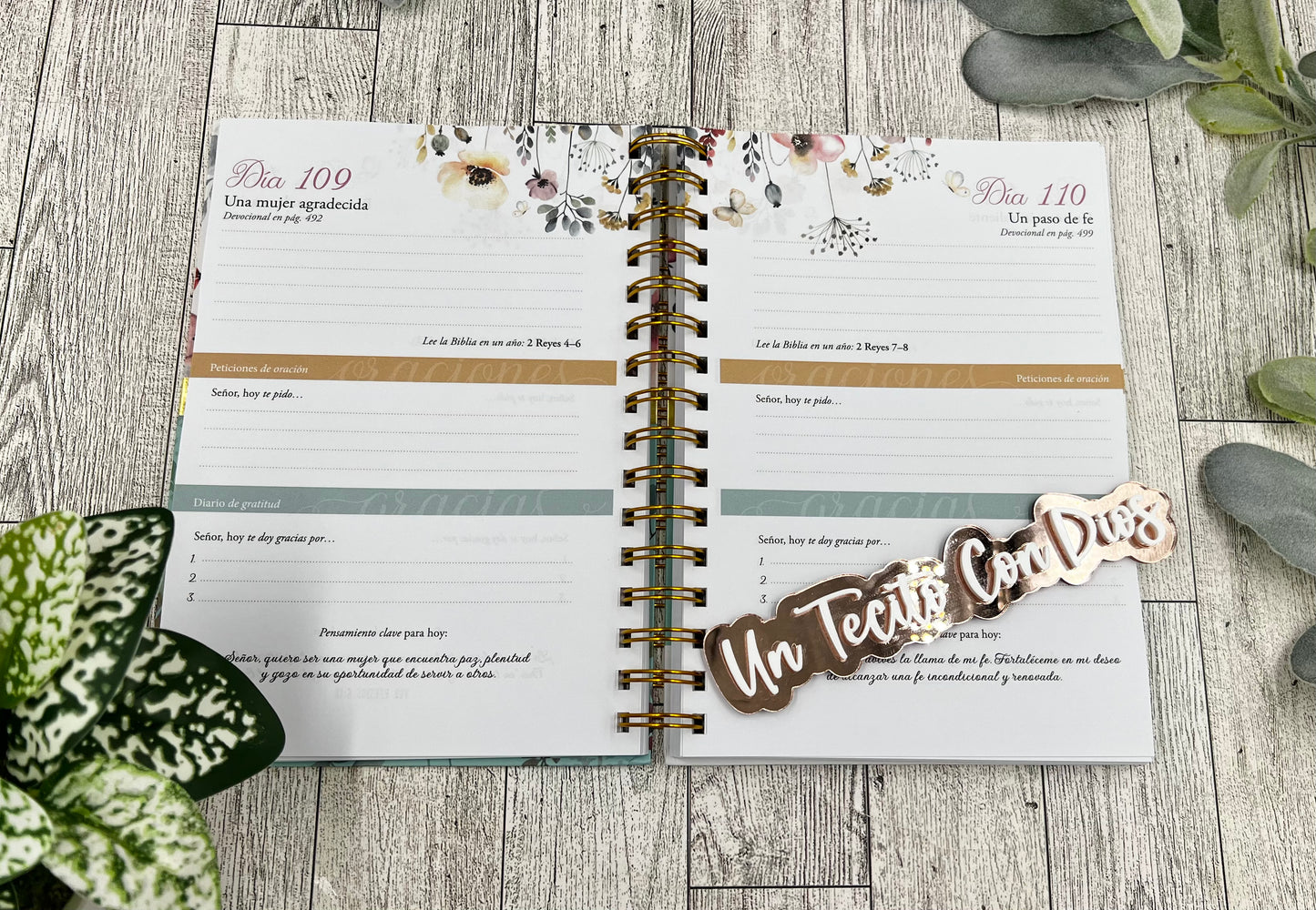 BIBLIA DE LA MUJER CONFORME AL CORAZON DE DIOS