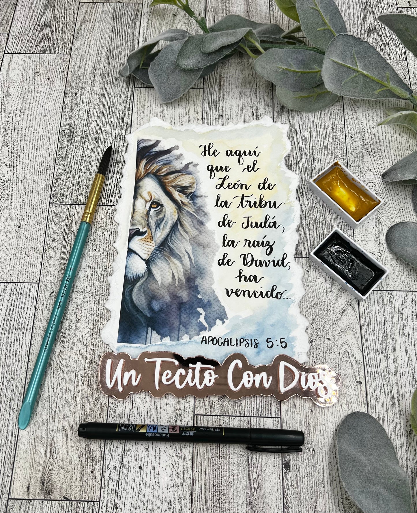Acuarela y Caligrafía