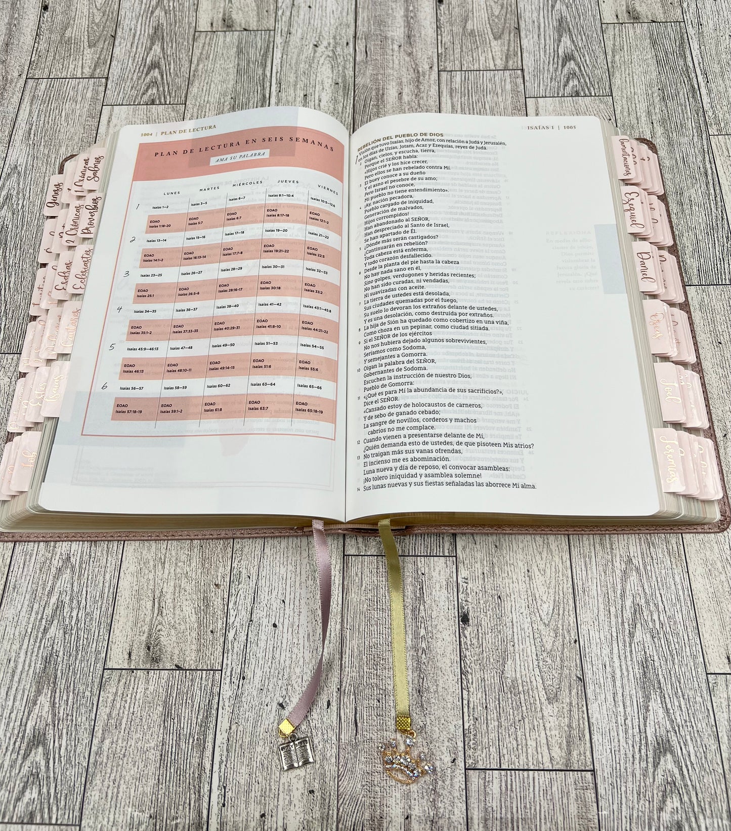 BIBLIA AMA A DIOS GRANDEMENTE PERSONALIZADA A MANO
