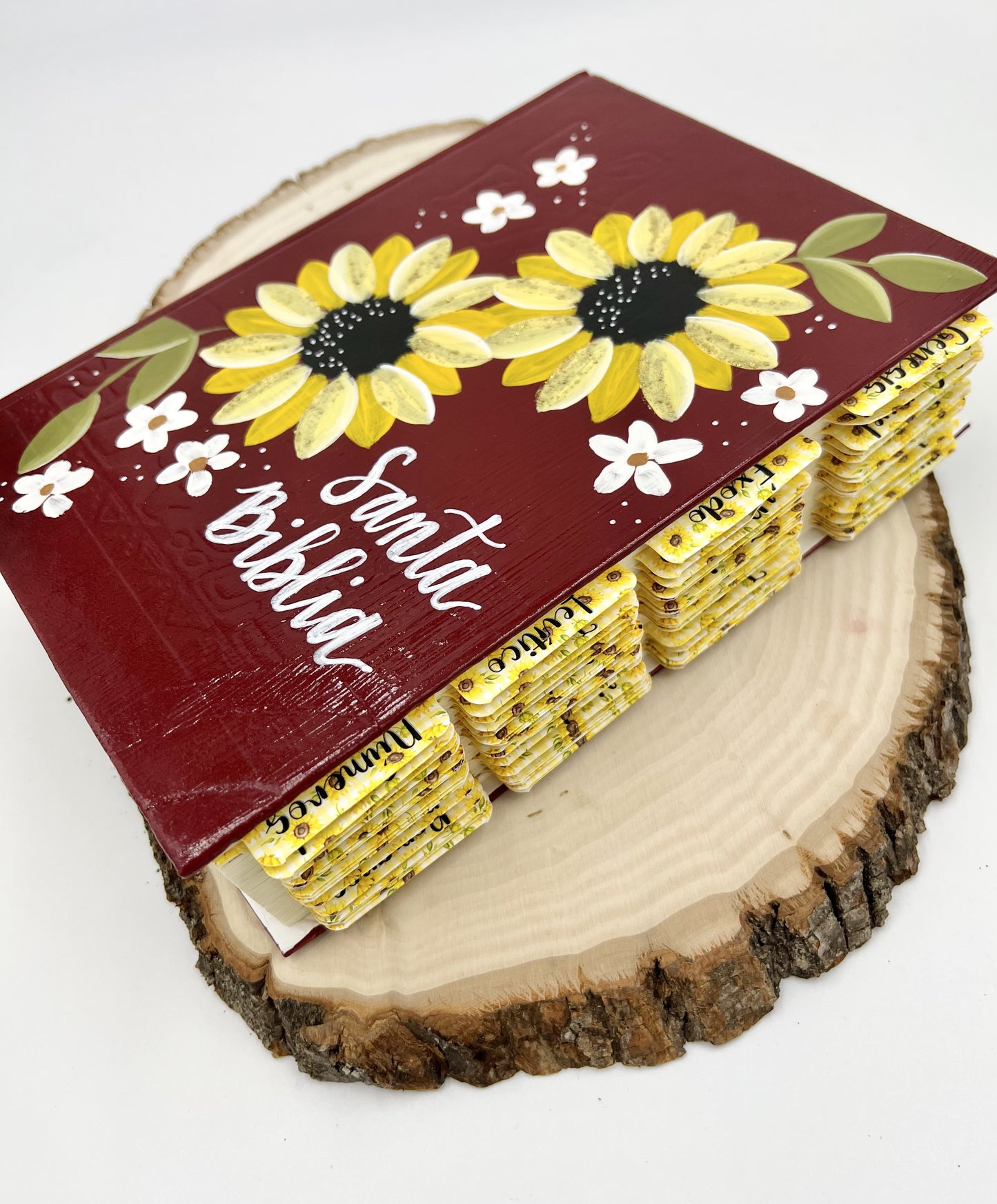 BIBLIA DEVOCIONAL PARA MUJERES CENTRADA EN CRISTO (RV 1960) PINTADA A MANO 2024