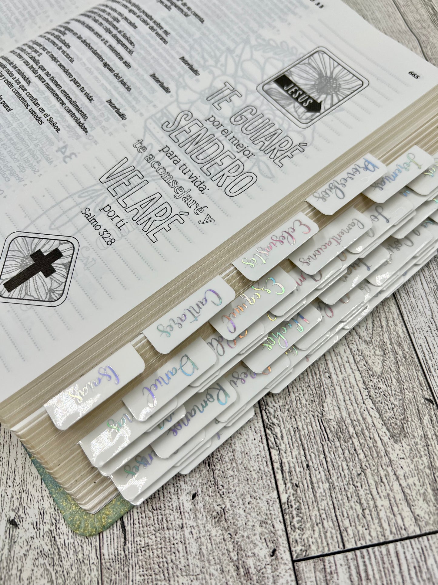 BIBLIA INSPIRA (NTV) PARA COLOREAR Y BIBLE JOURNALING