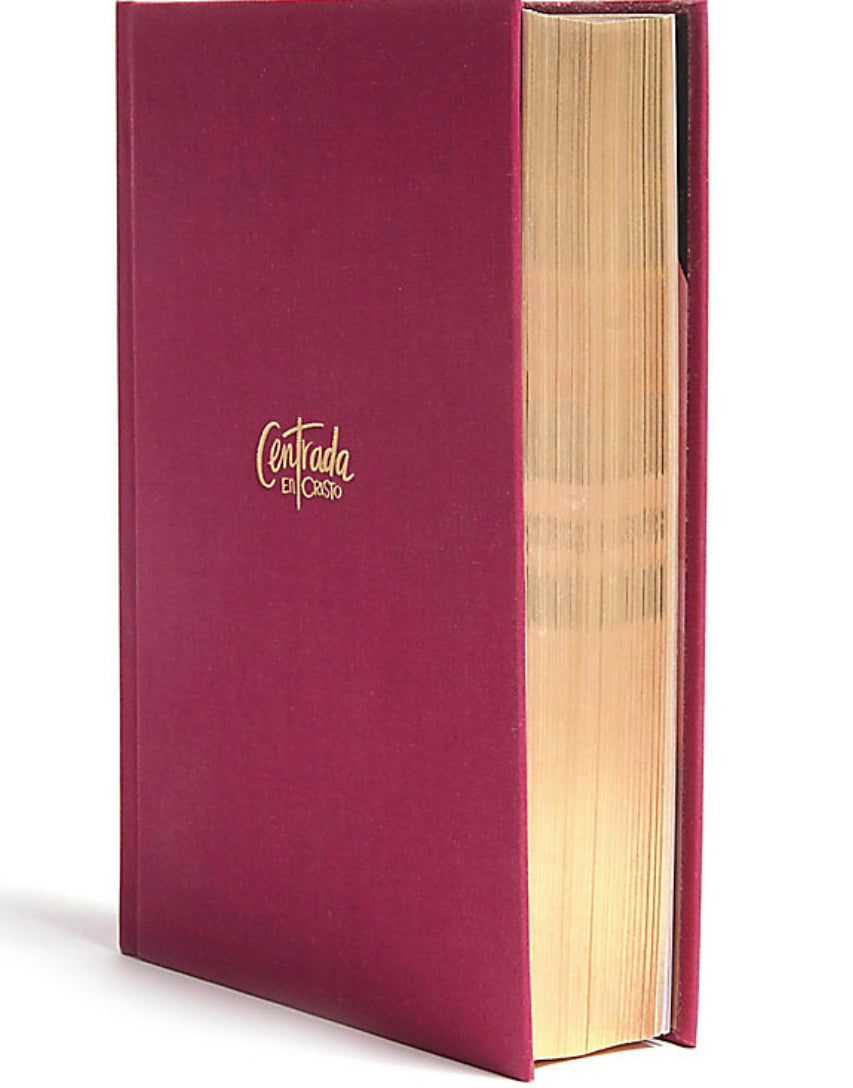 BIBLIA DEVOCIONAL PARA MUJERES CENTRADA EN CRISTO (RV 1960) PINTADA A MANO 2024