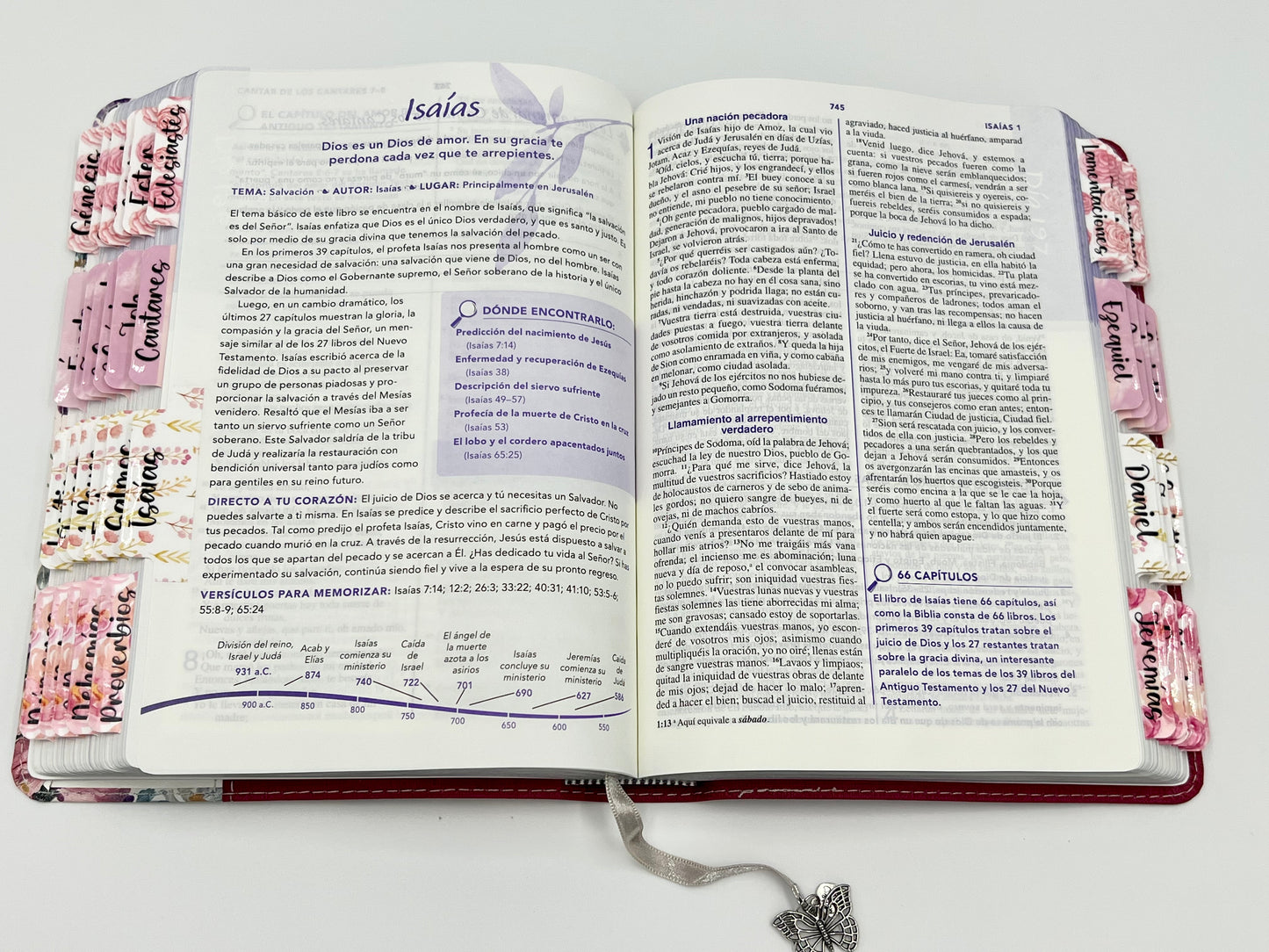 Biblia de La Joven conforme al Corazon de Dios