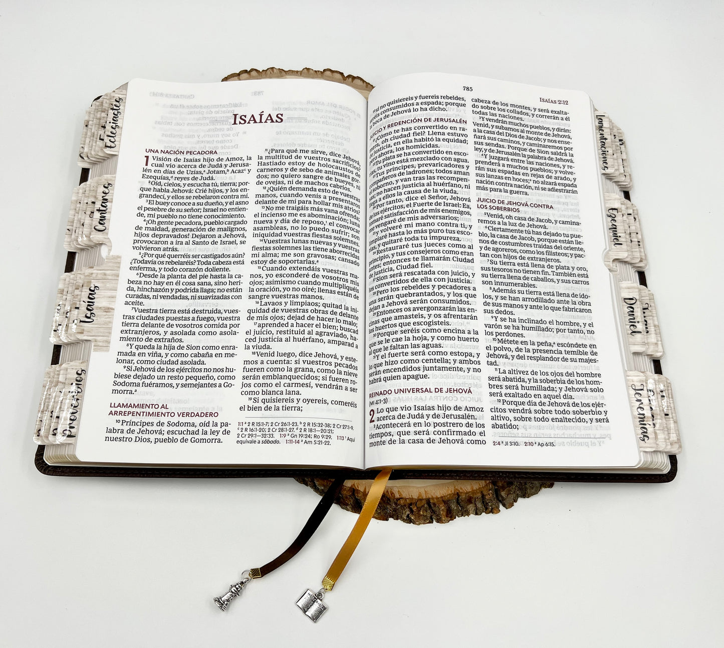 BIBLIA DEL MINISTRO (BIBLIA PARA PASTOR) LETRA GRANDE 14 PUNTOS