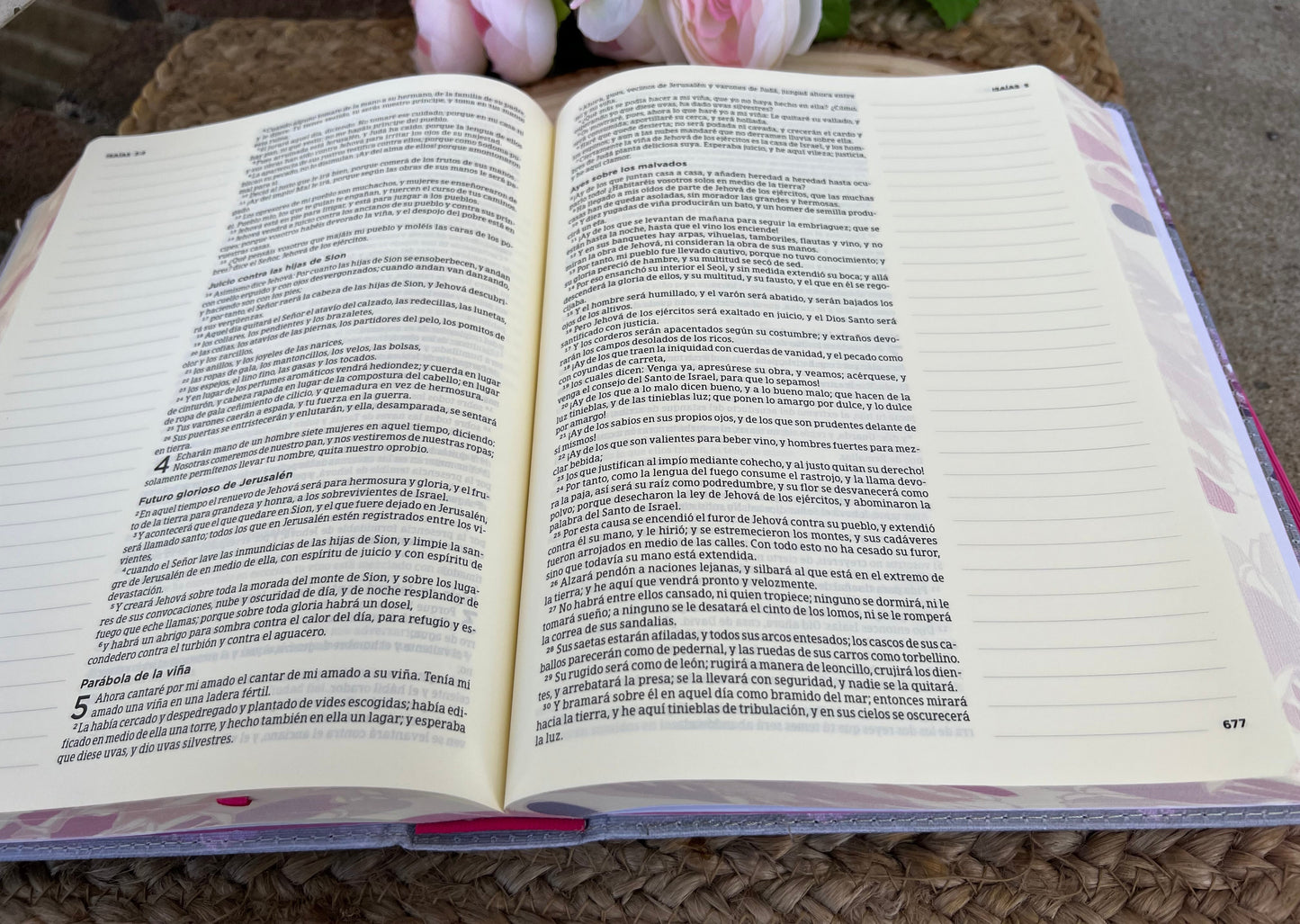 BIBLIA DE APUNTES (RV 1960) PERSONALIZADA