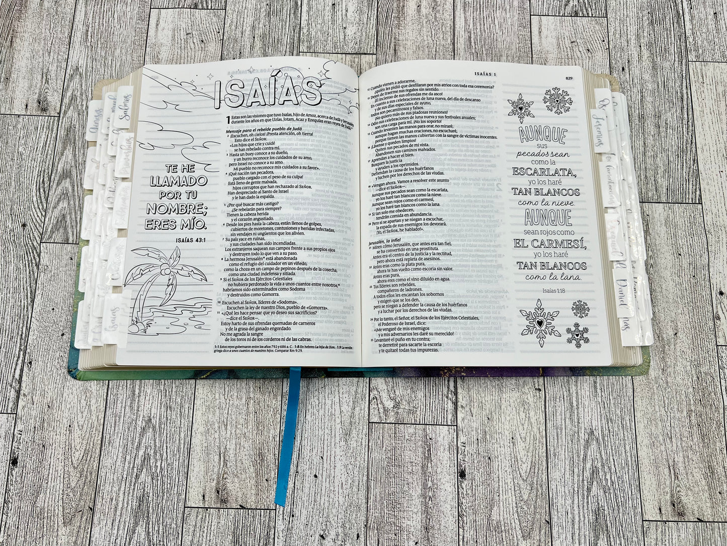 BIBLIA INSPIRA (NTV) PARA COLOREAR Y BIBLE JOURNALING
