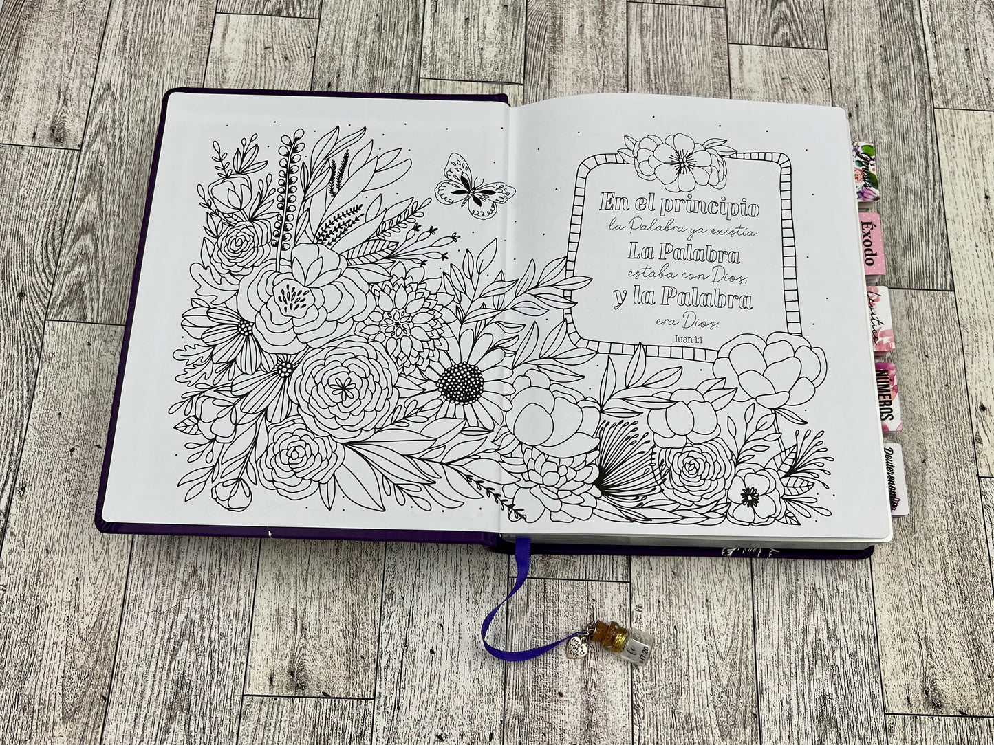 BIBLIA INSPIRA (NTV) PARA COLOREAR Y BIBLE JOURNALING