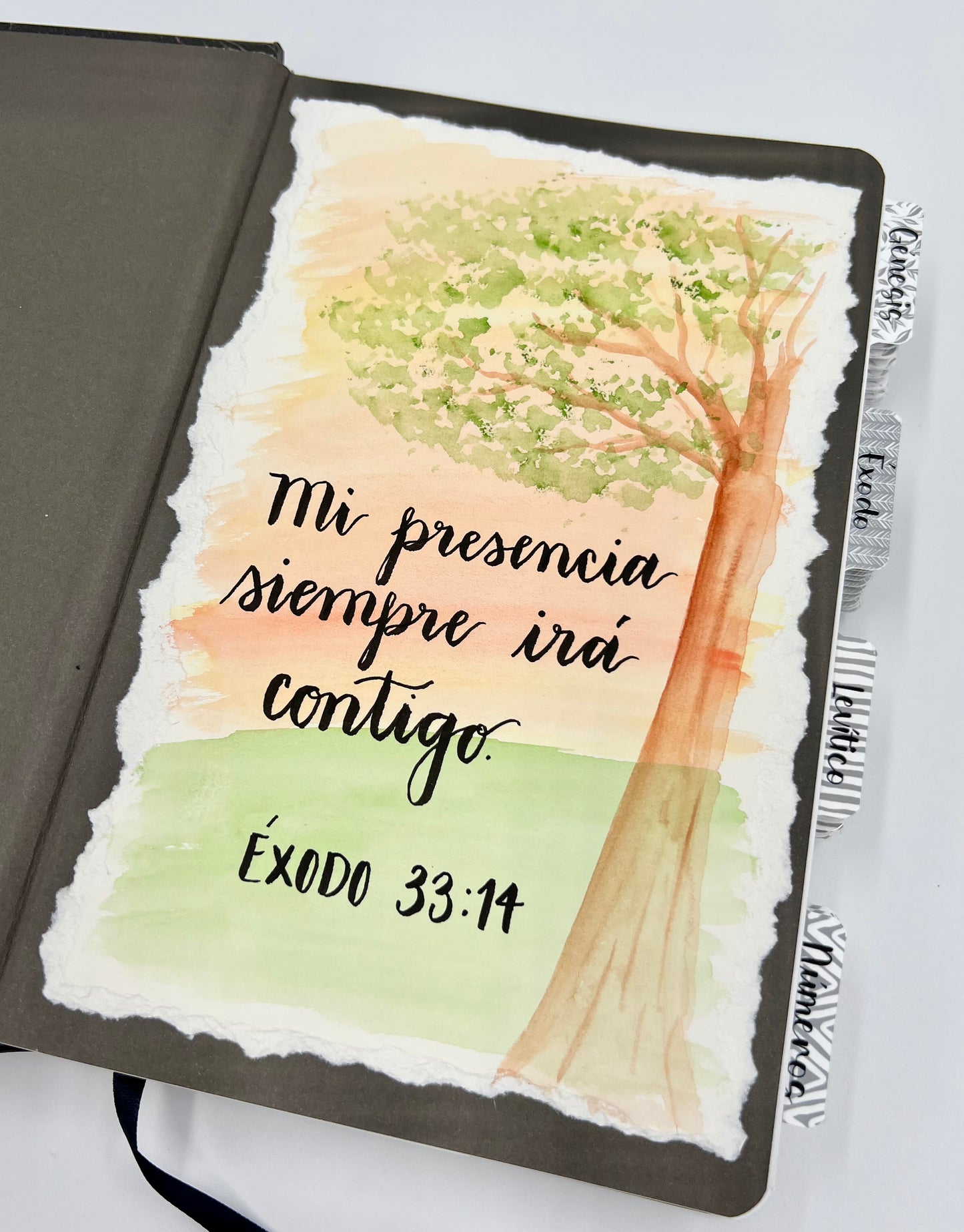 Acuarela y Caligrafía