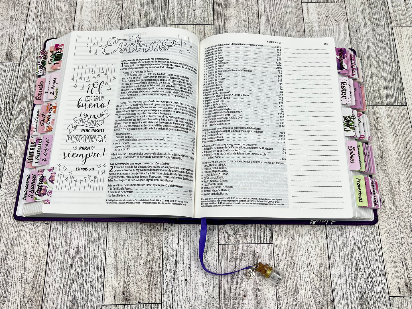 BIBLIA INSPIRA (NTV) PARA COLOREAR Y BIBLE JOURNALING