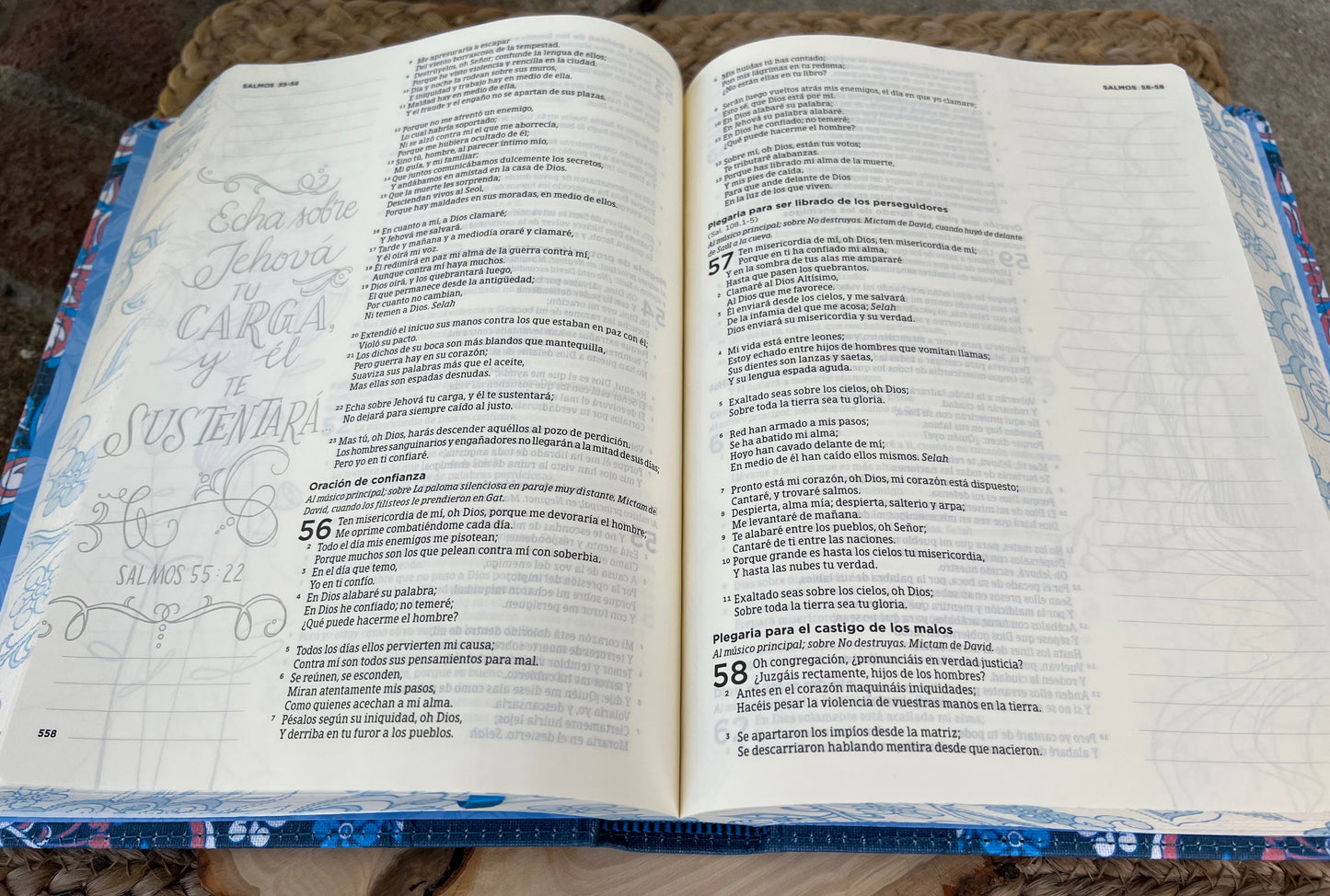 BIBLIA DE APUNTES EDICION ILUSTRADA (RV 1960) PERSONALIZADA