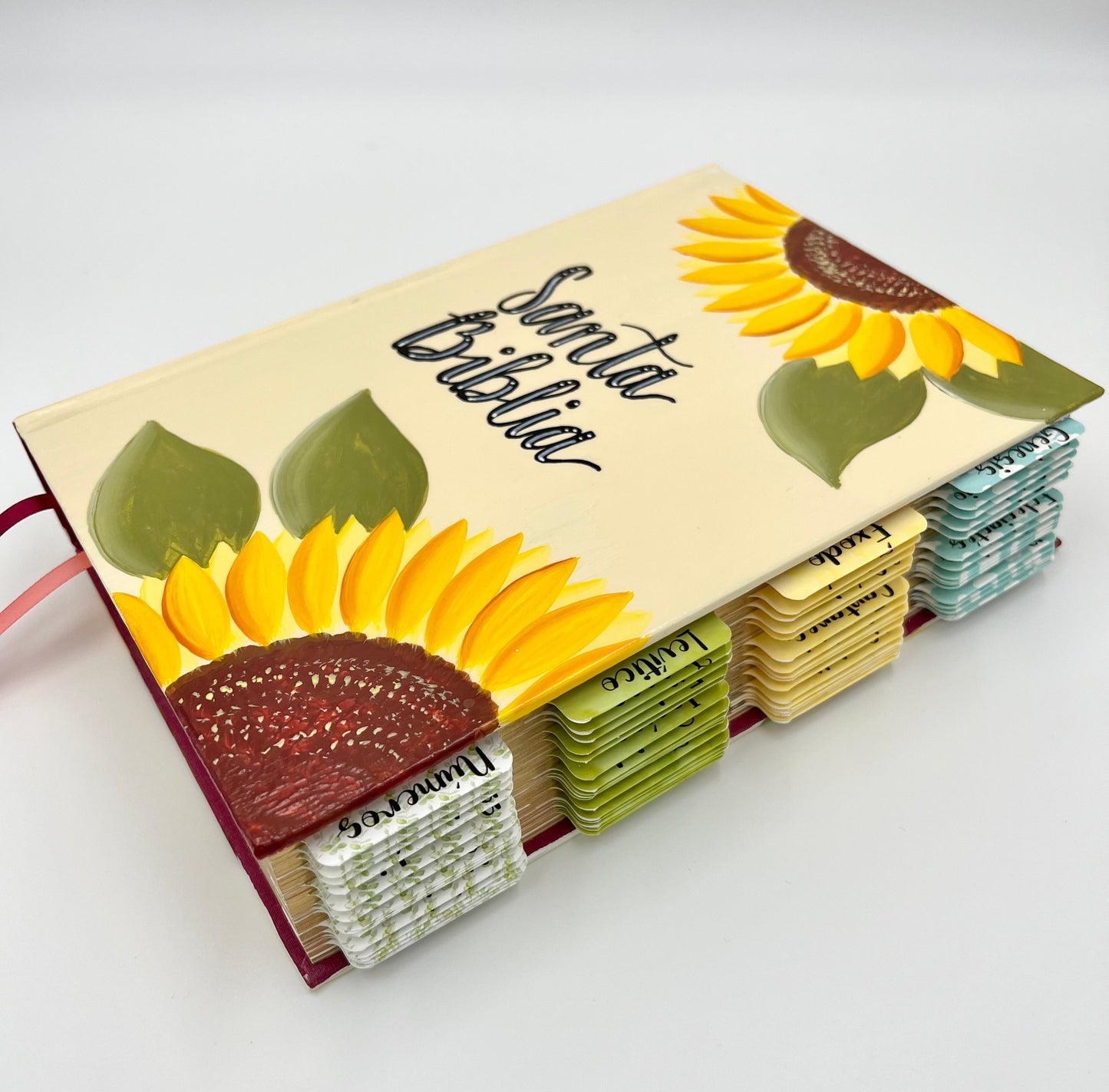 BIBLIA DEVOCIONAL PARA MUJERES CENTRADA EN CRISTO (RV 1960) PINTADA A MANO 2024