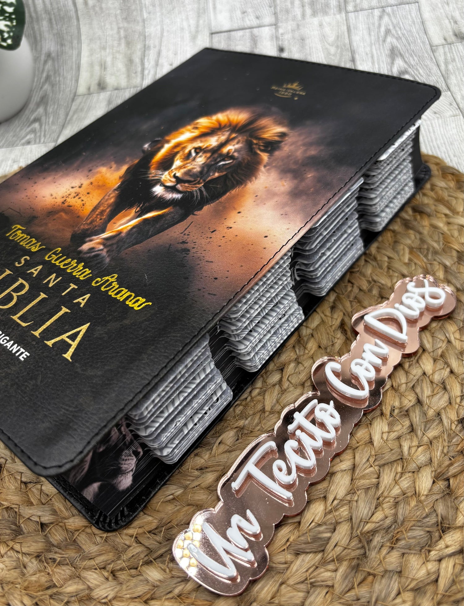 BIBLIAS LETRA GIGANTE Y SUPERGIGANTE