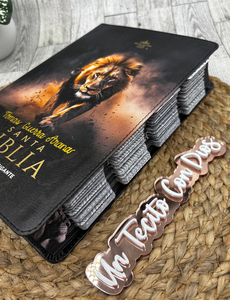 BIBLIAS LETRA GIGANTE Y SUPERGIGANTE