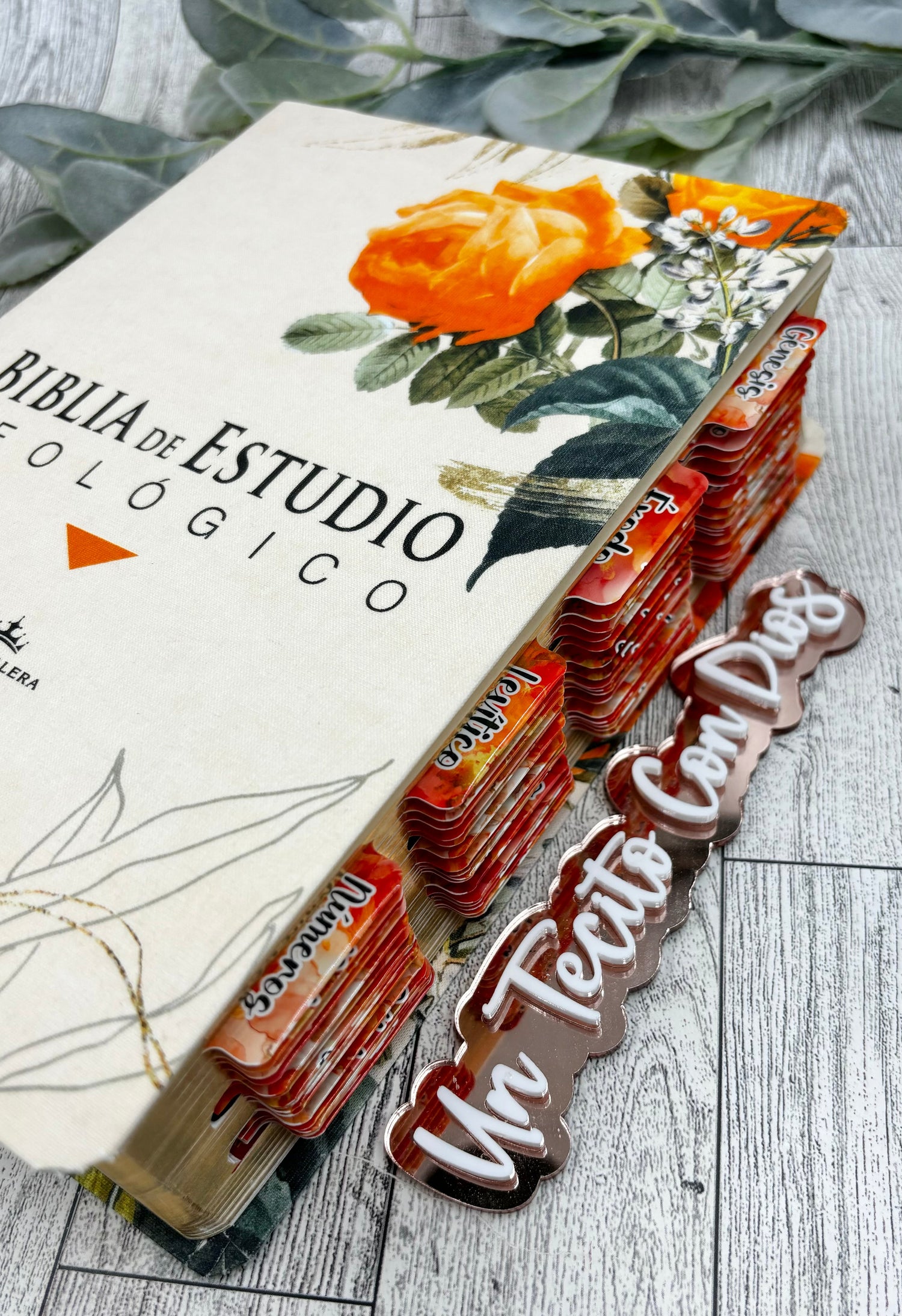 BIBLIAS DE ESTUDIO Y/O DEVOCIONAL