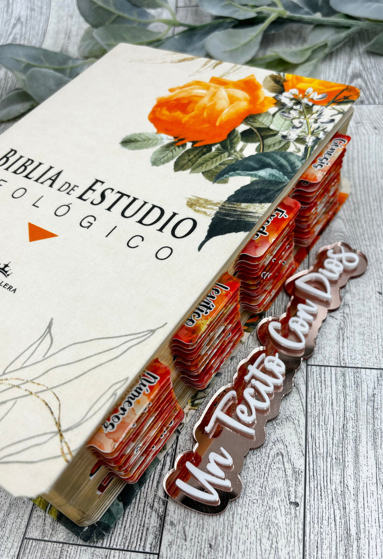 BIBLIAS DE ESTUDIO Y/O DEVOCIONAL