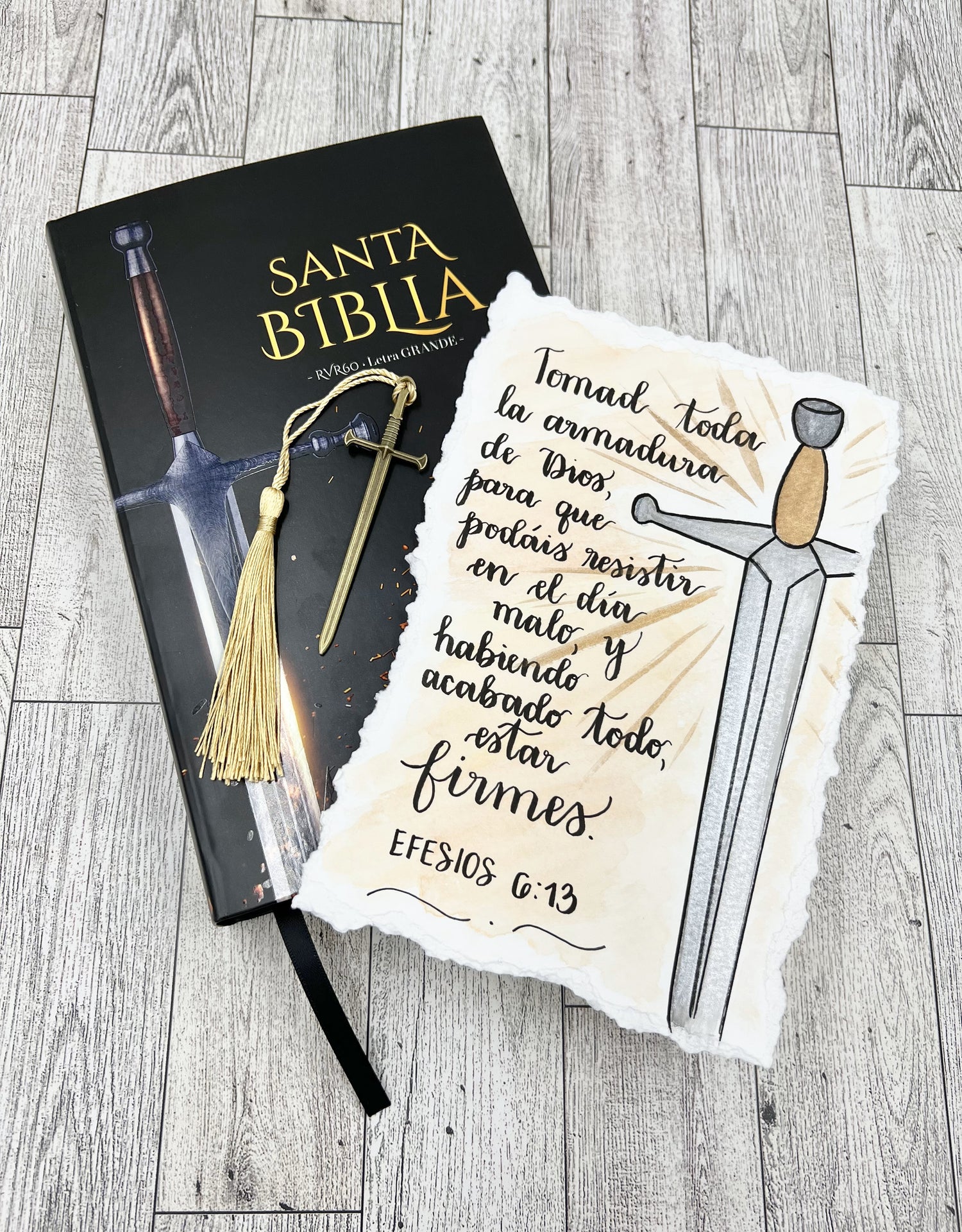 BIBLIAS Y DEVOCIONARIOS PARA CABALLEROS