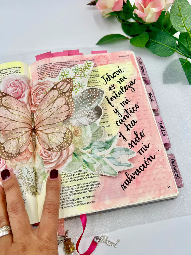 ADD ONS/AGREGADOS Y ACCESORIOS PARA TU BIBLIA